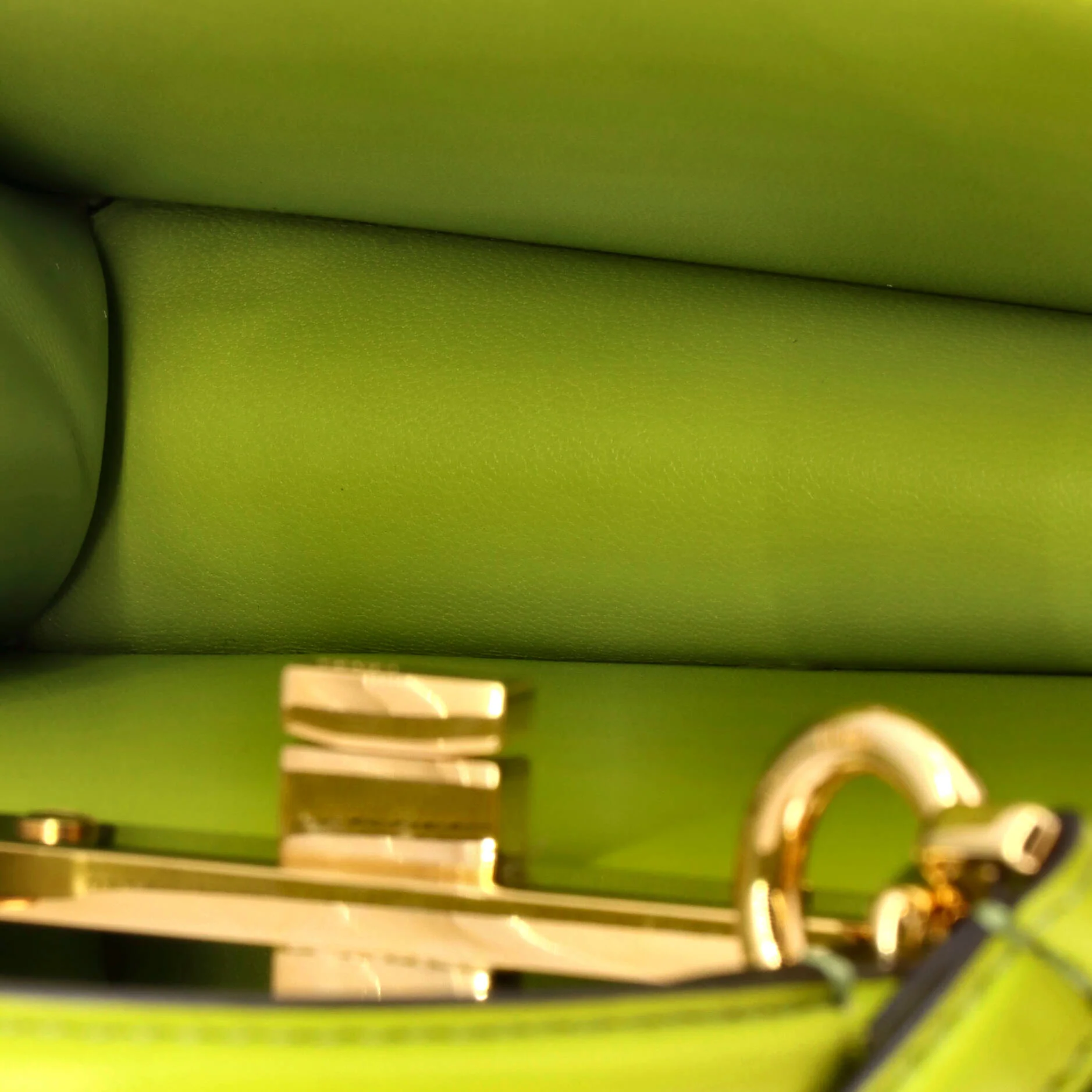 Peekaboo ISeeU Bag Leather Petite - Image 5