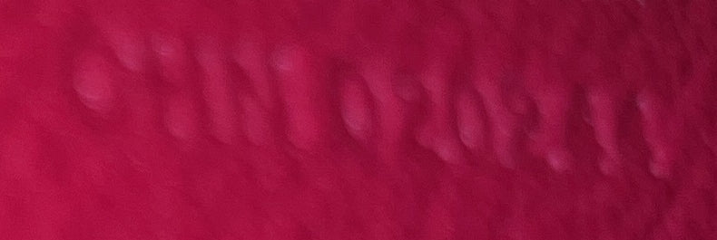 Chypre Wallet on Strap Coated Canvas with Leather - Image 6