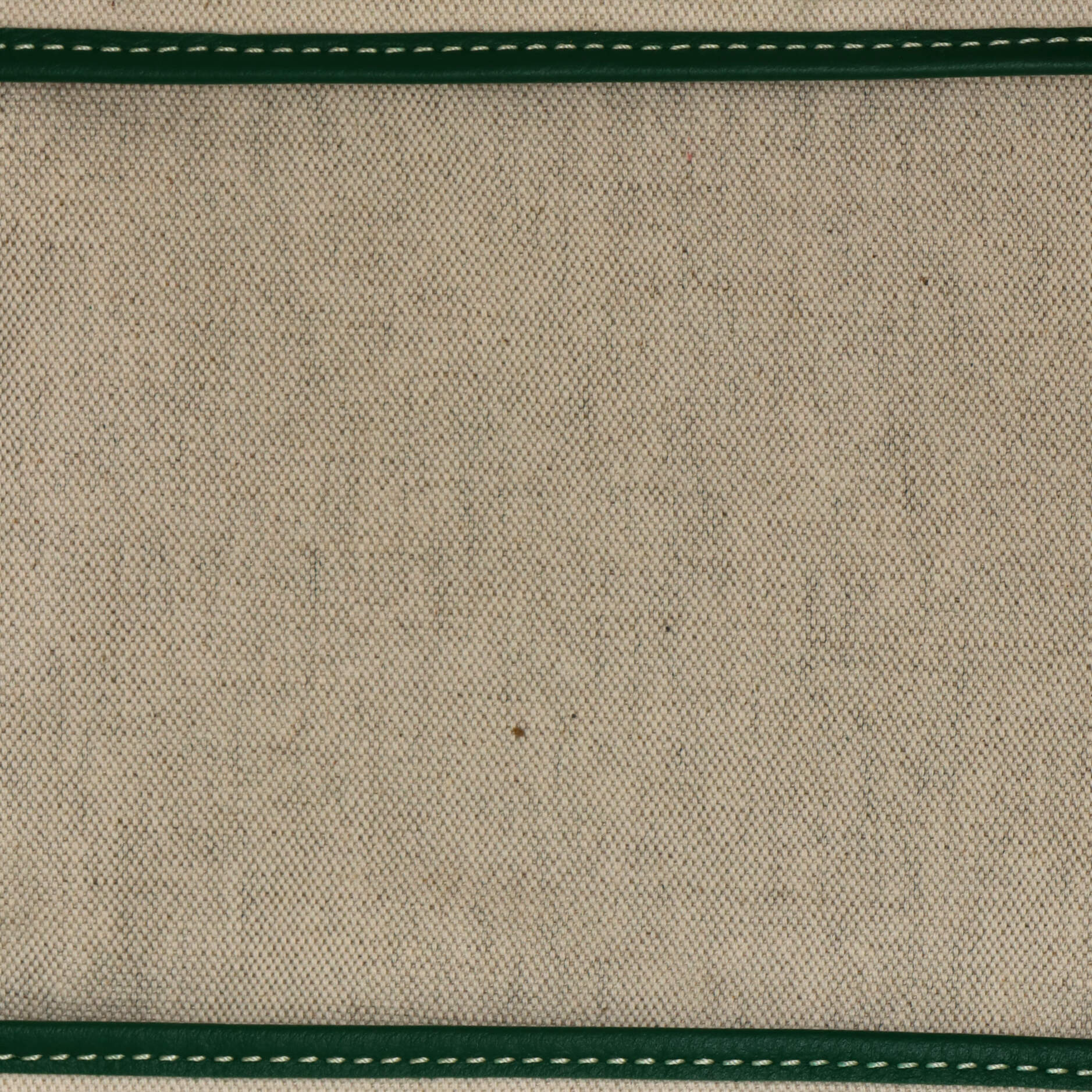 Saint Louis Tote Coated Canvas PM - Image 6