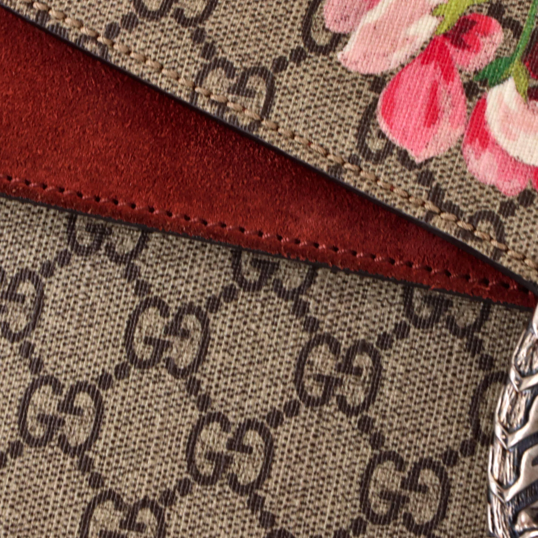 Dionysus Bag Blooms Print GG Coated Canvas Medium - Image 6