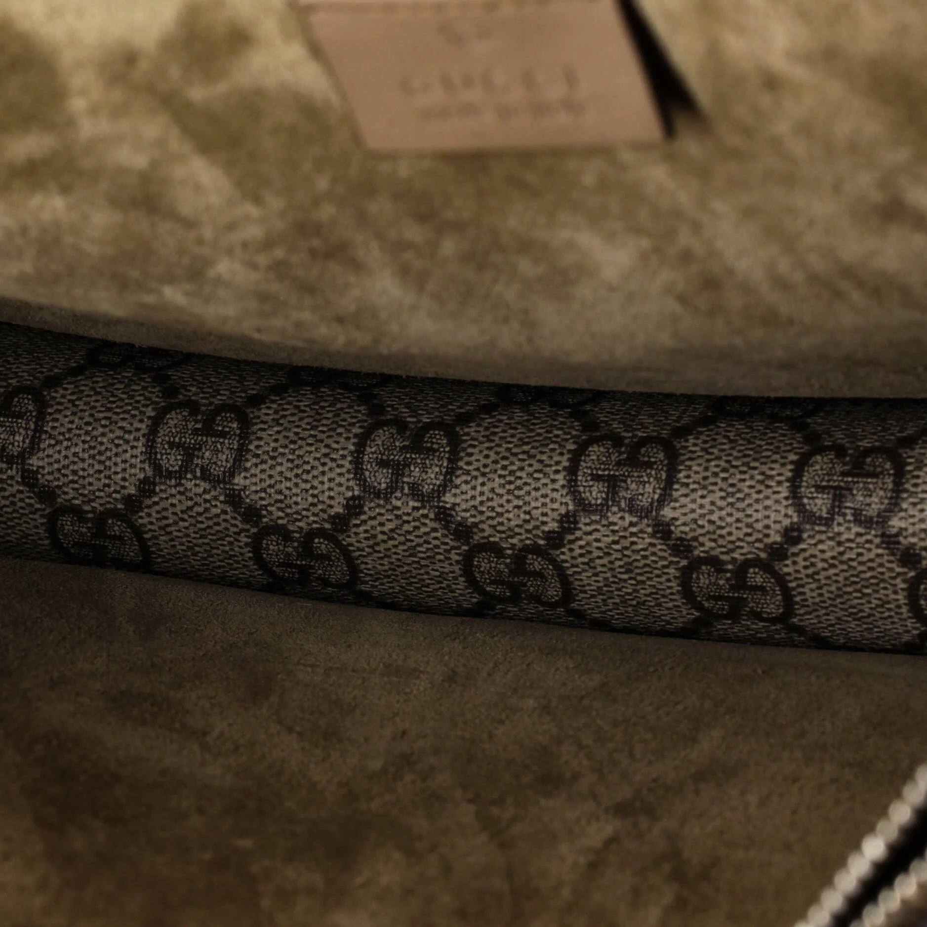 Dionysus Bag GG Coated Canvas Medium - Image 5