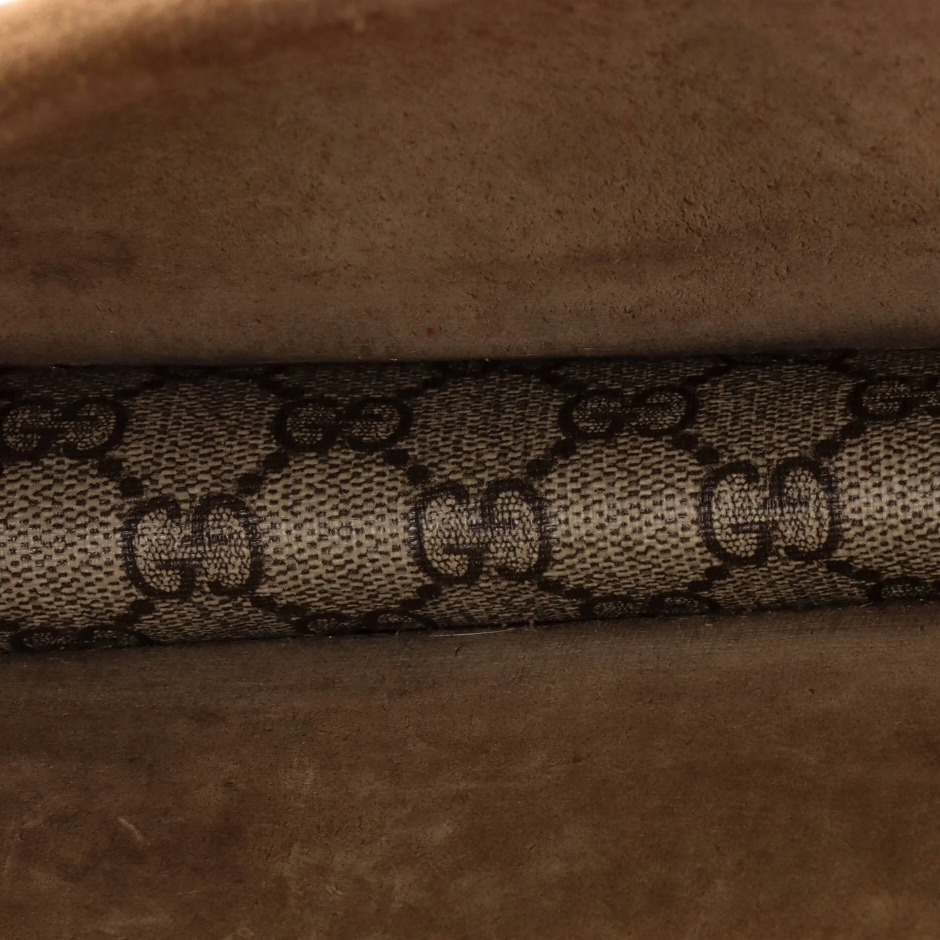 Dionysus Bag GG Coated Canvas Small - Image 5