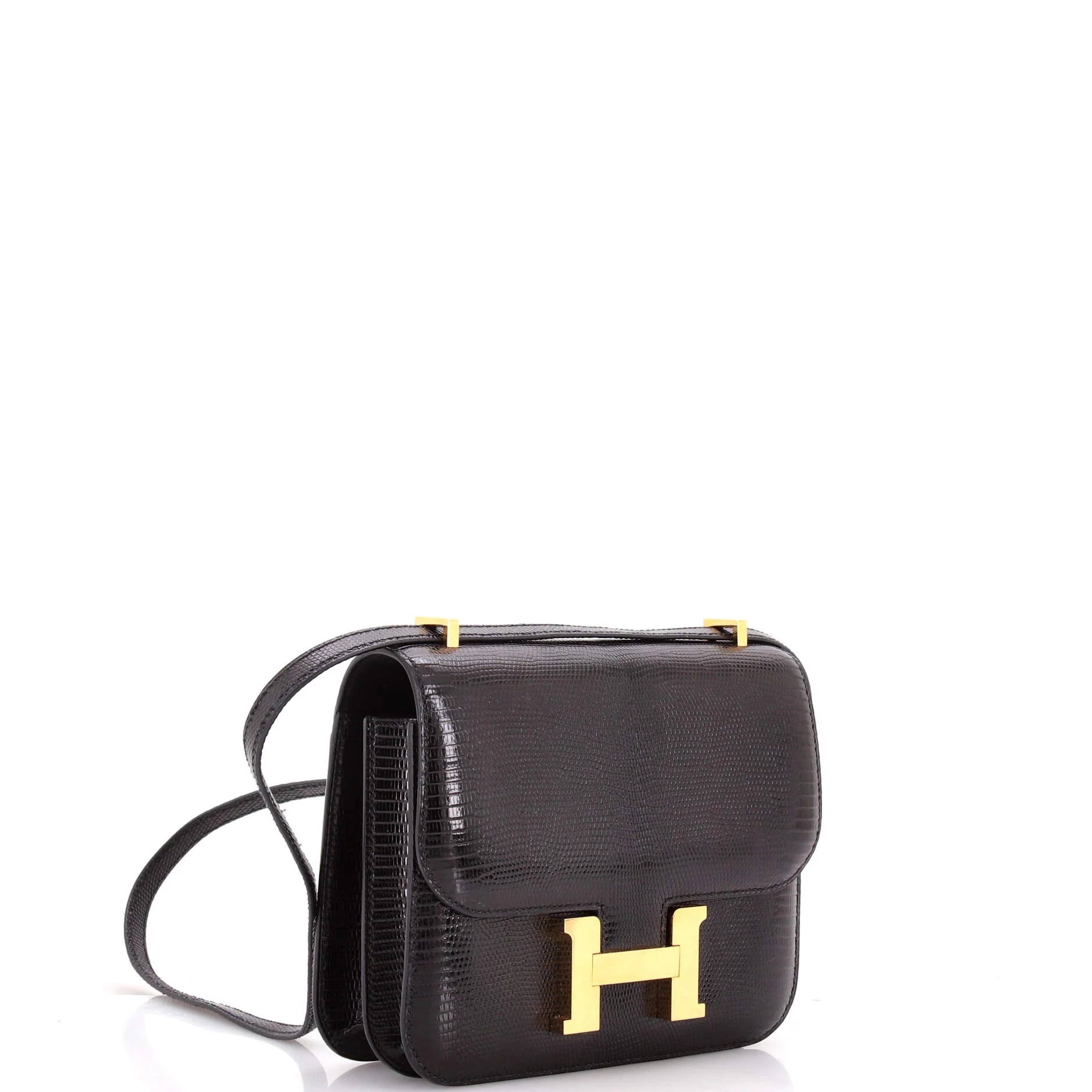 Constance NM Bag Lizard 18 - Image 2