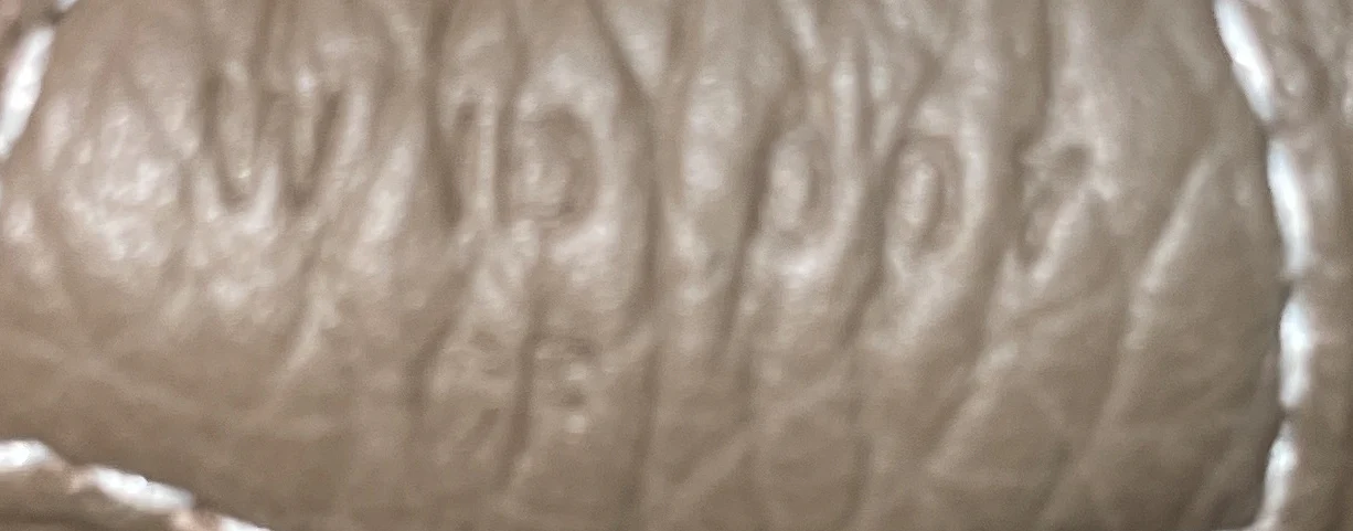 Evelyne Bag Gen III Clemence PM - Image 7