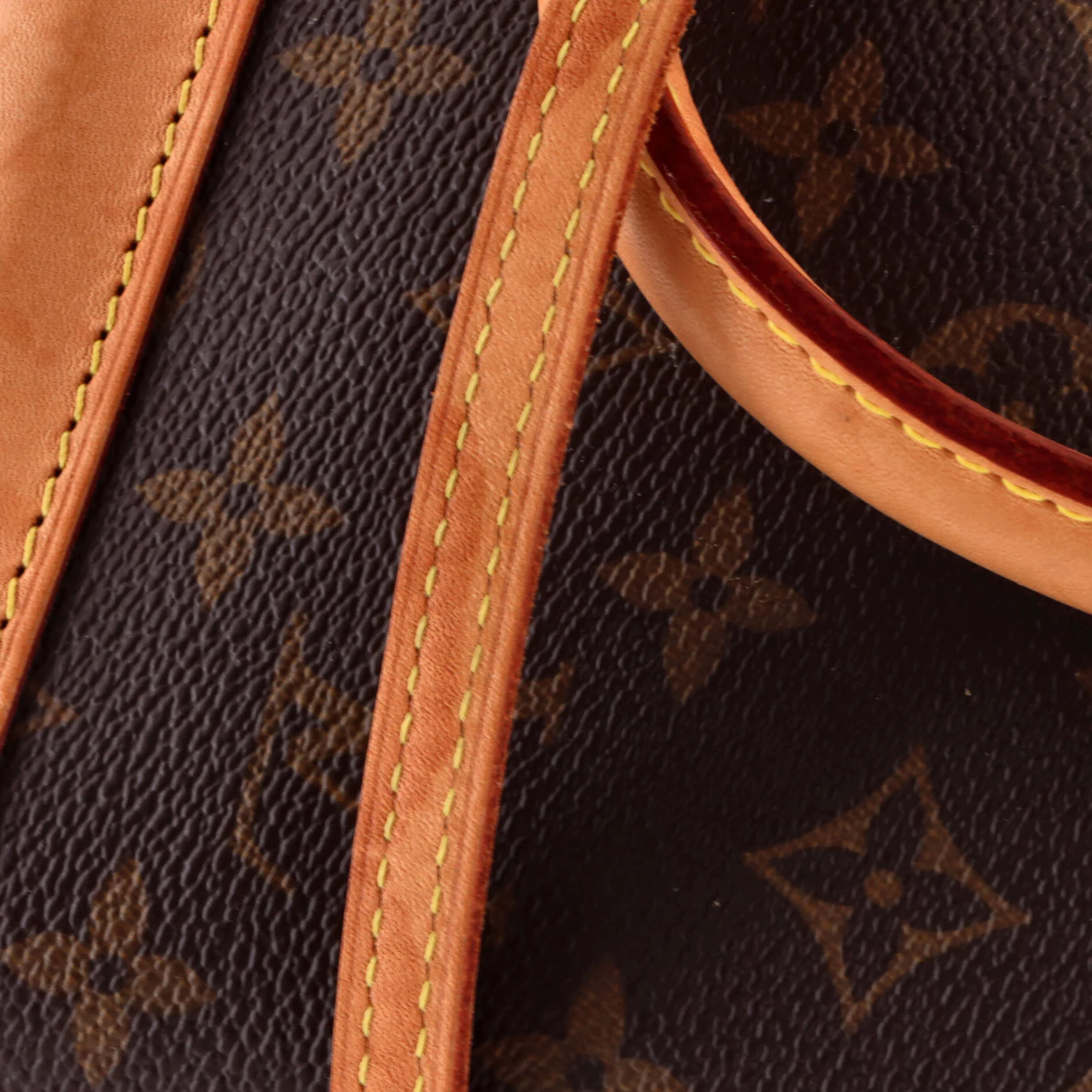 Alma Handbag Monogram Canvas BB - Image 7