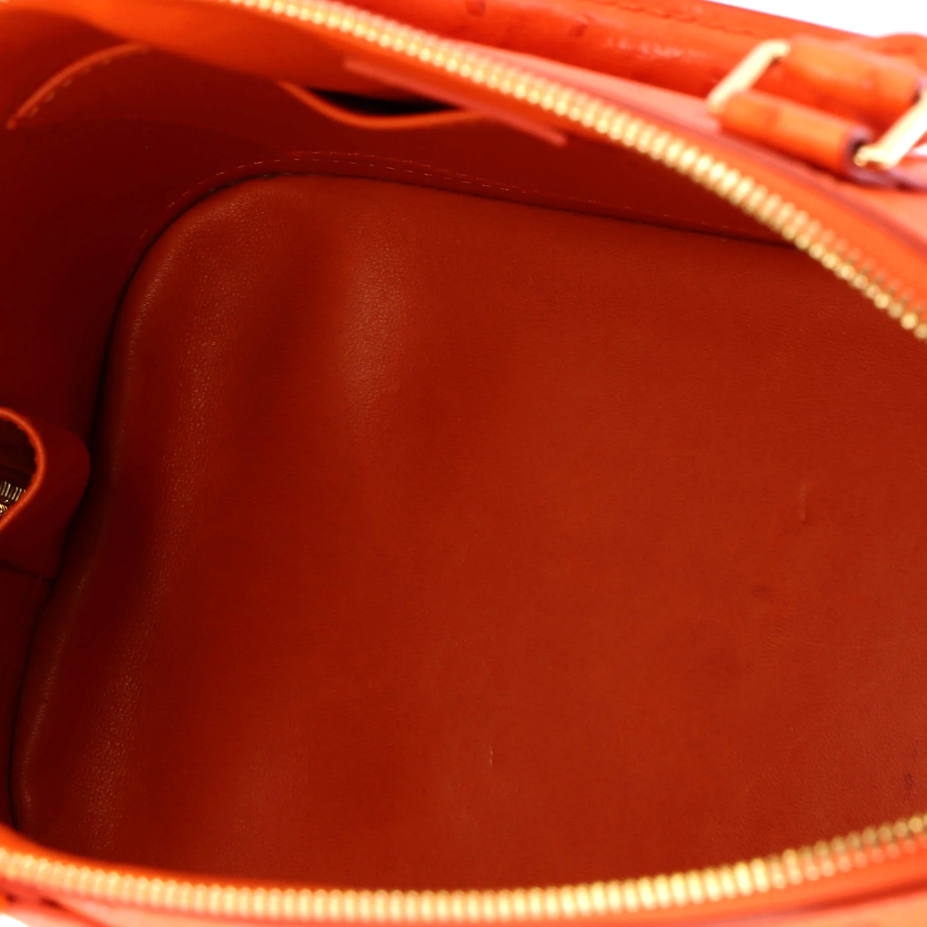 Alma Handbag Ostrich PM - Image 10