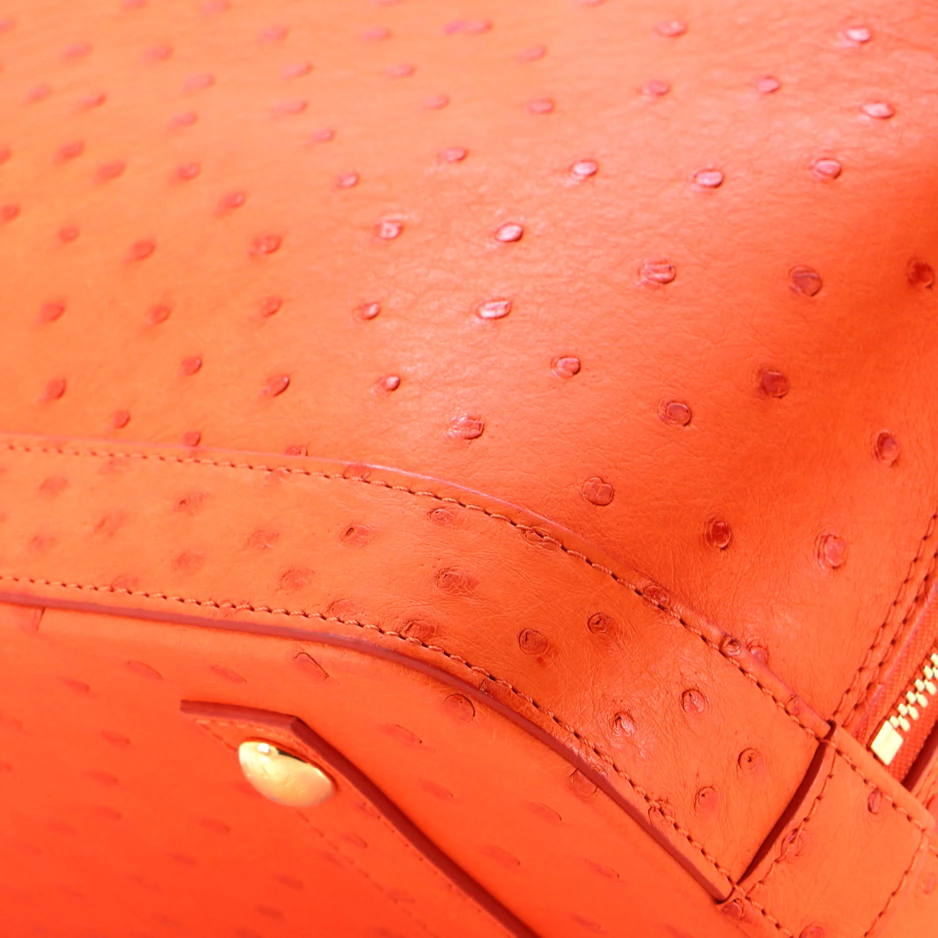 Alma Handbag Ostrich PM - Image 11