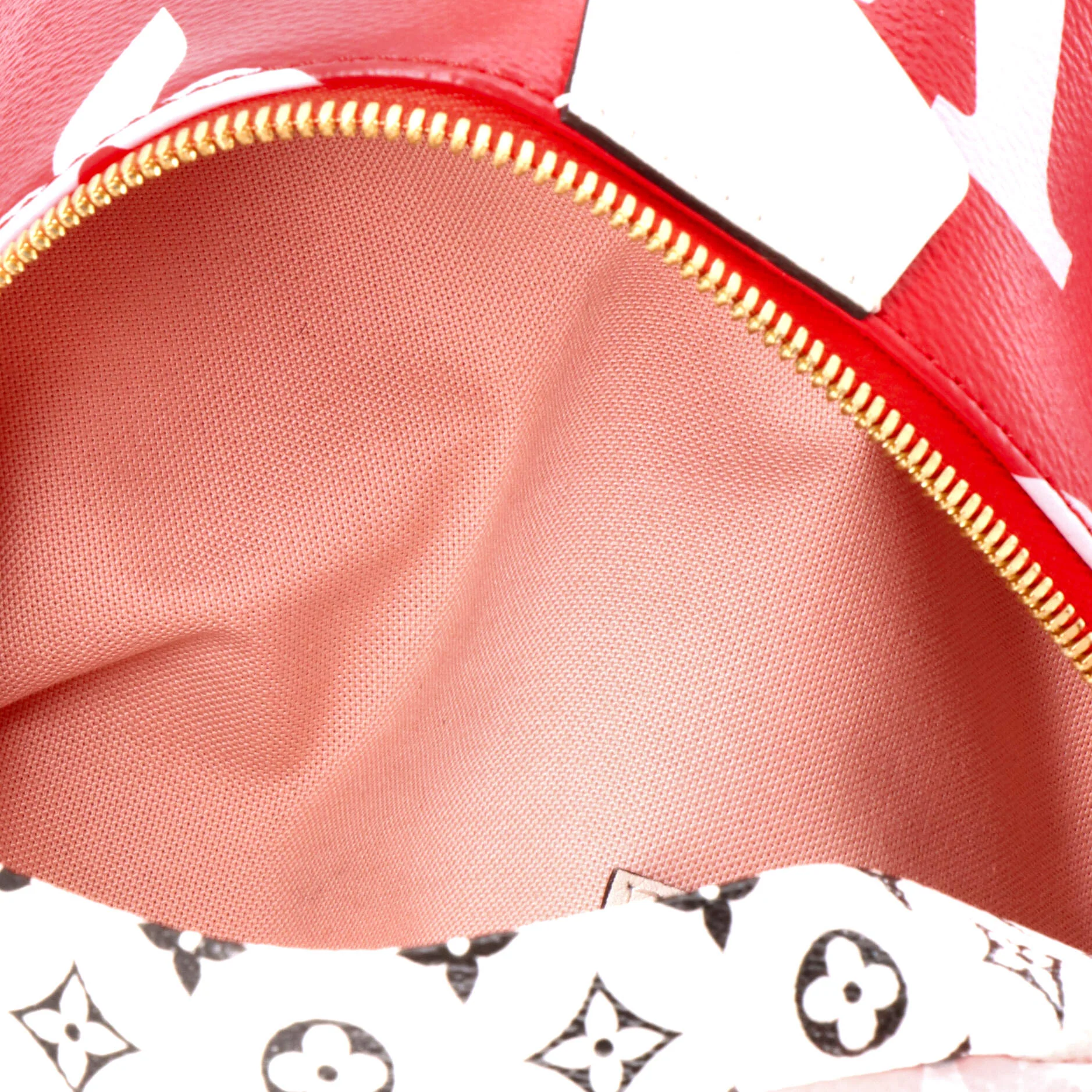 Bum Bag Limited Edition Colored Monogram Giant - Image 5