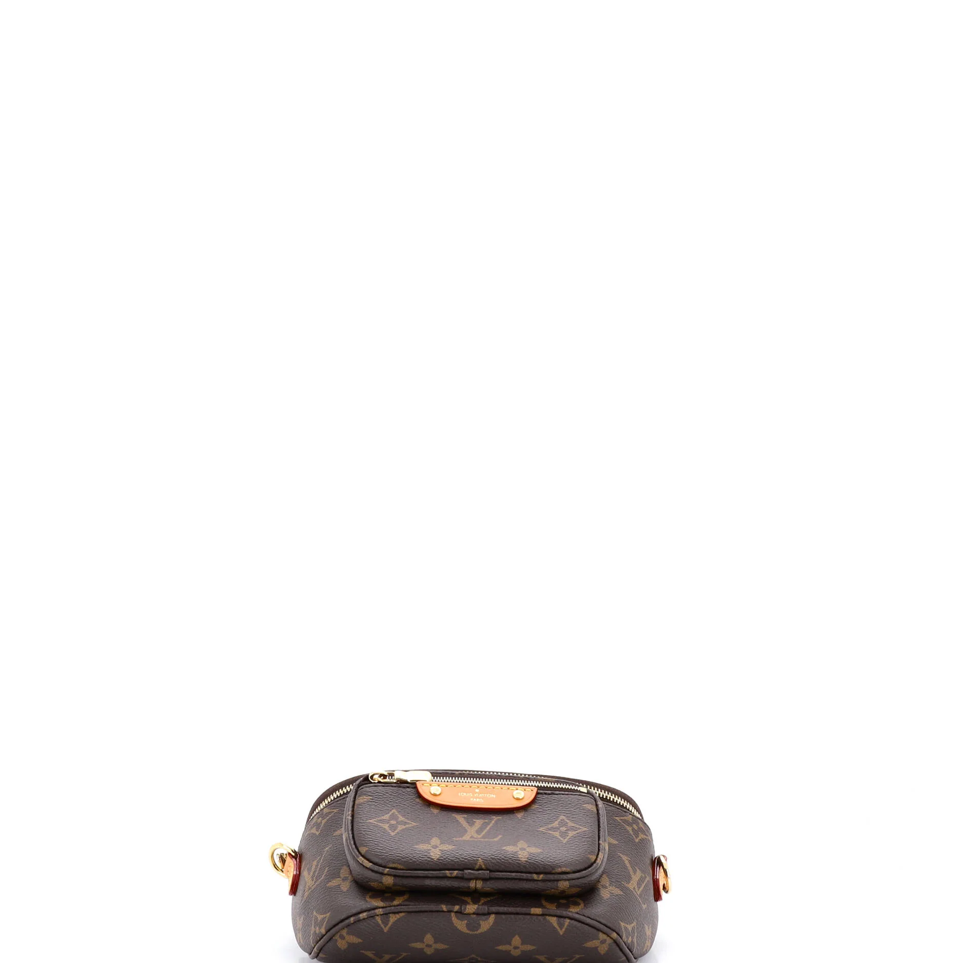 Bum Bag Monogram Canvas Mini - Image 4