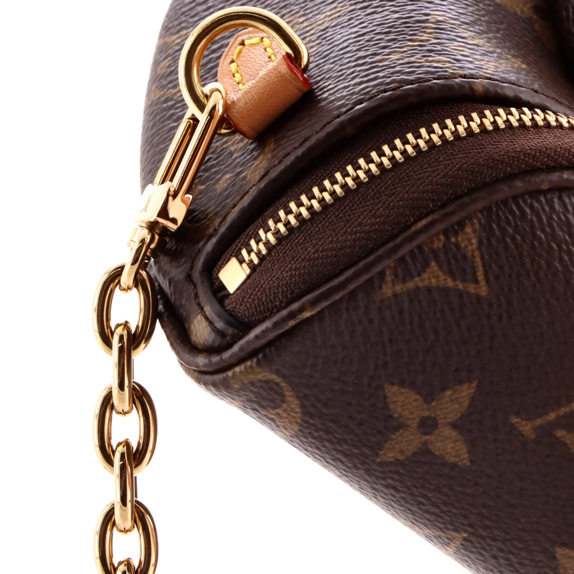 Bum Bag Monogram Canvas Mini - Image 7