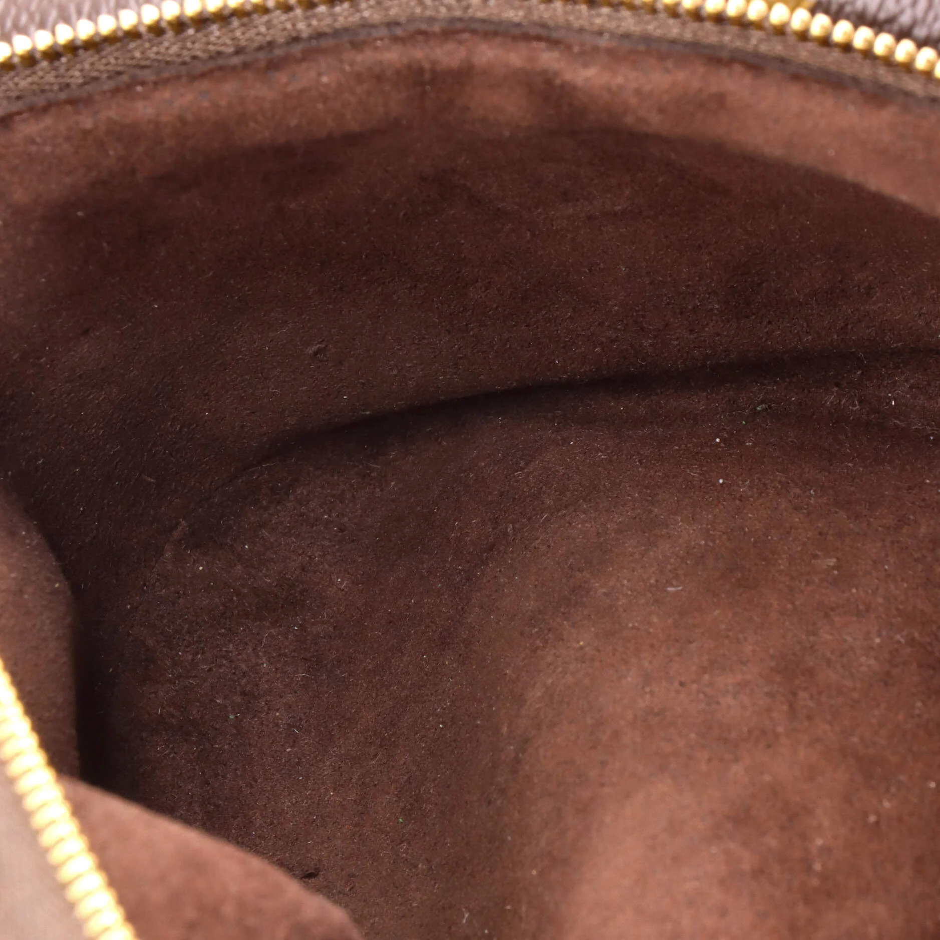 Bum Bag Monogram Canvas Mini - Image 5