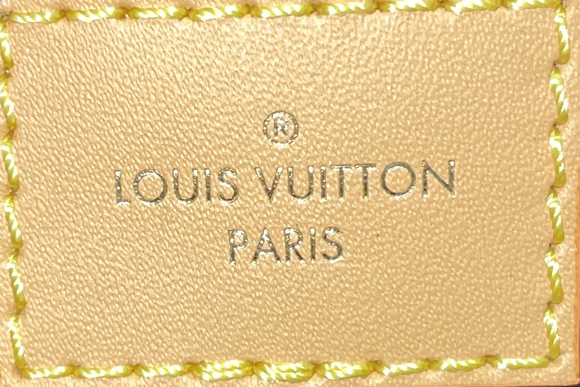 Bum Bag Monogram Canvas Mini - Image 9
