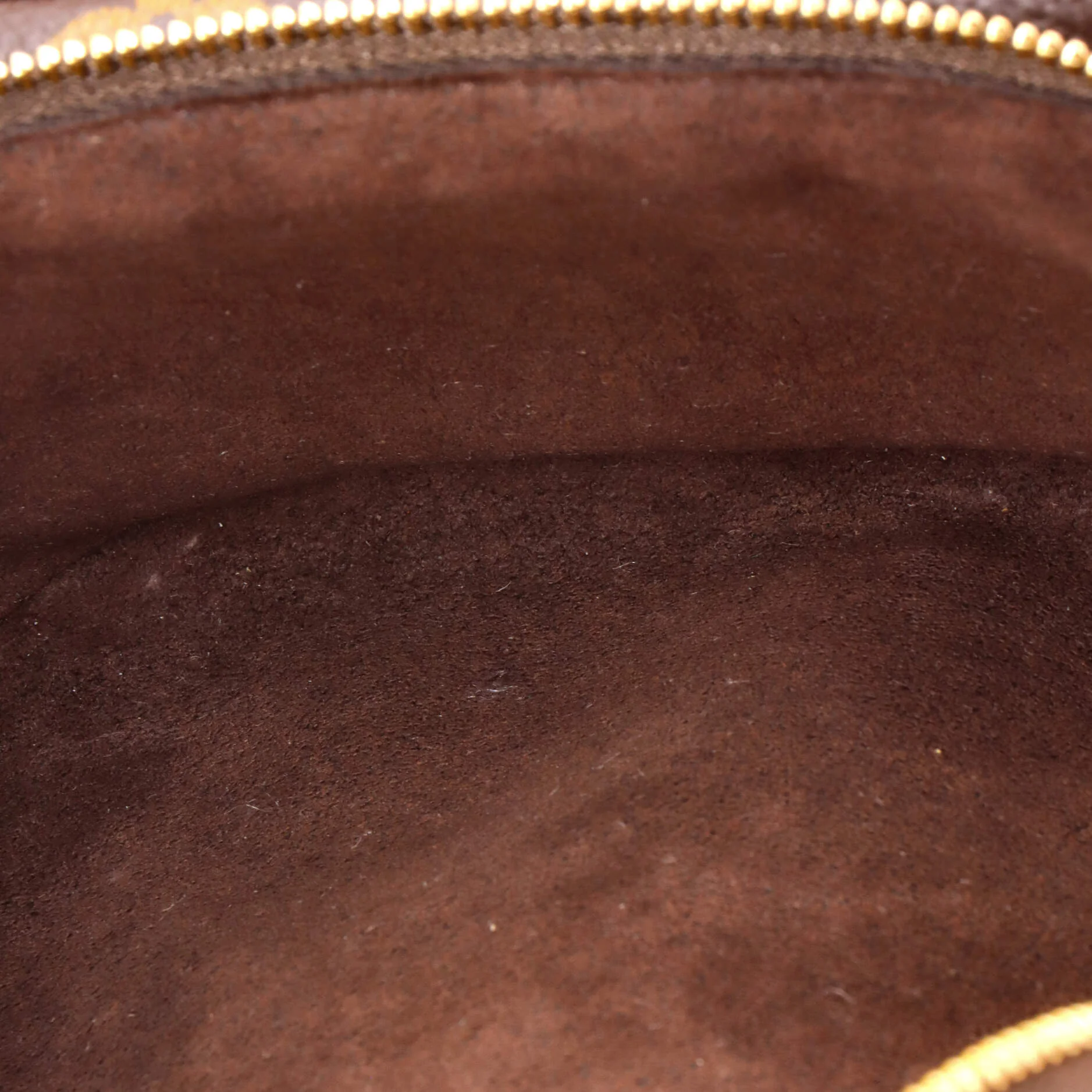 Bum Bag Monogram Canvas Mini - Image 5