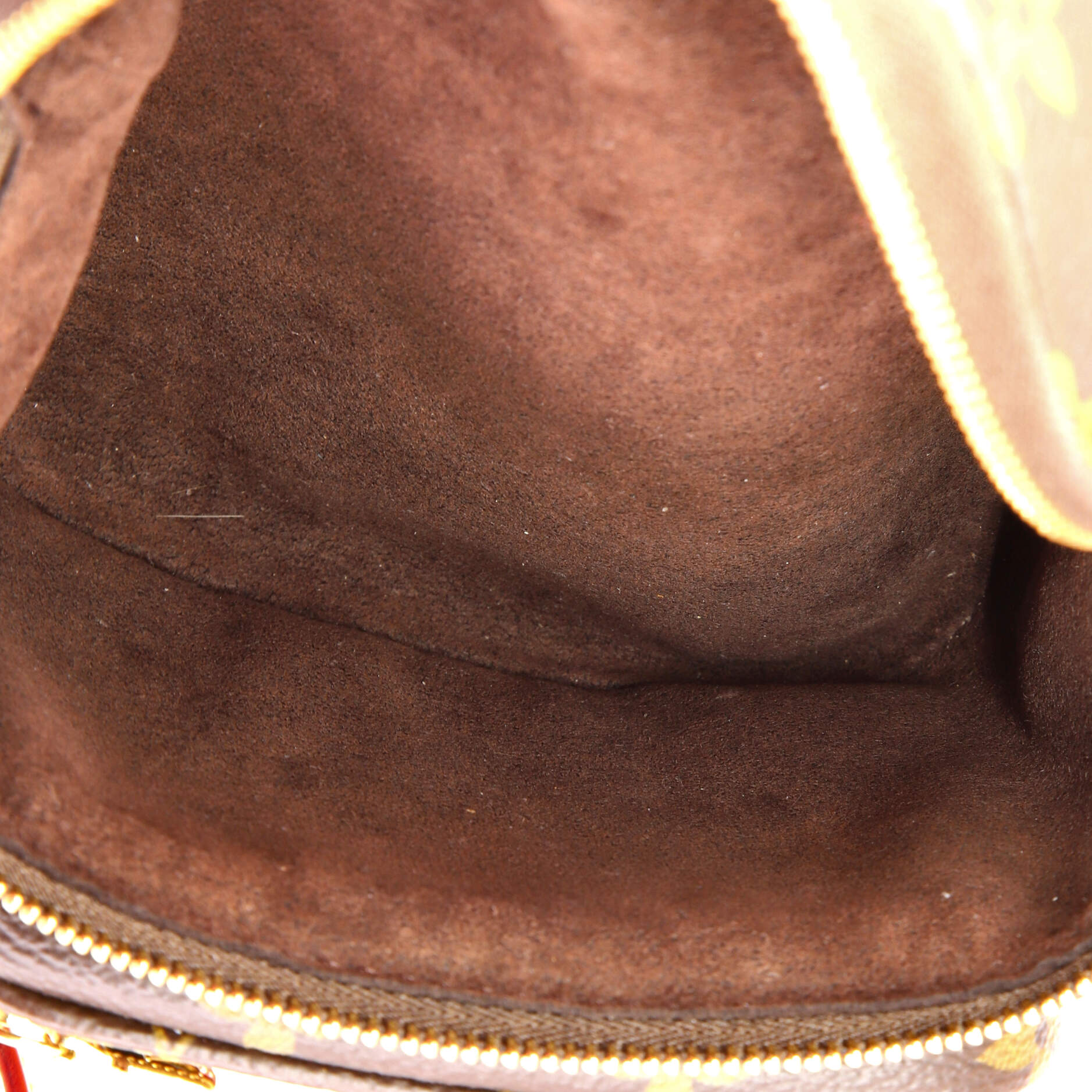 Bum Bag Monogram Canvas Mini - Image 5