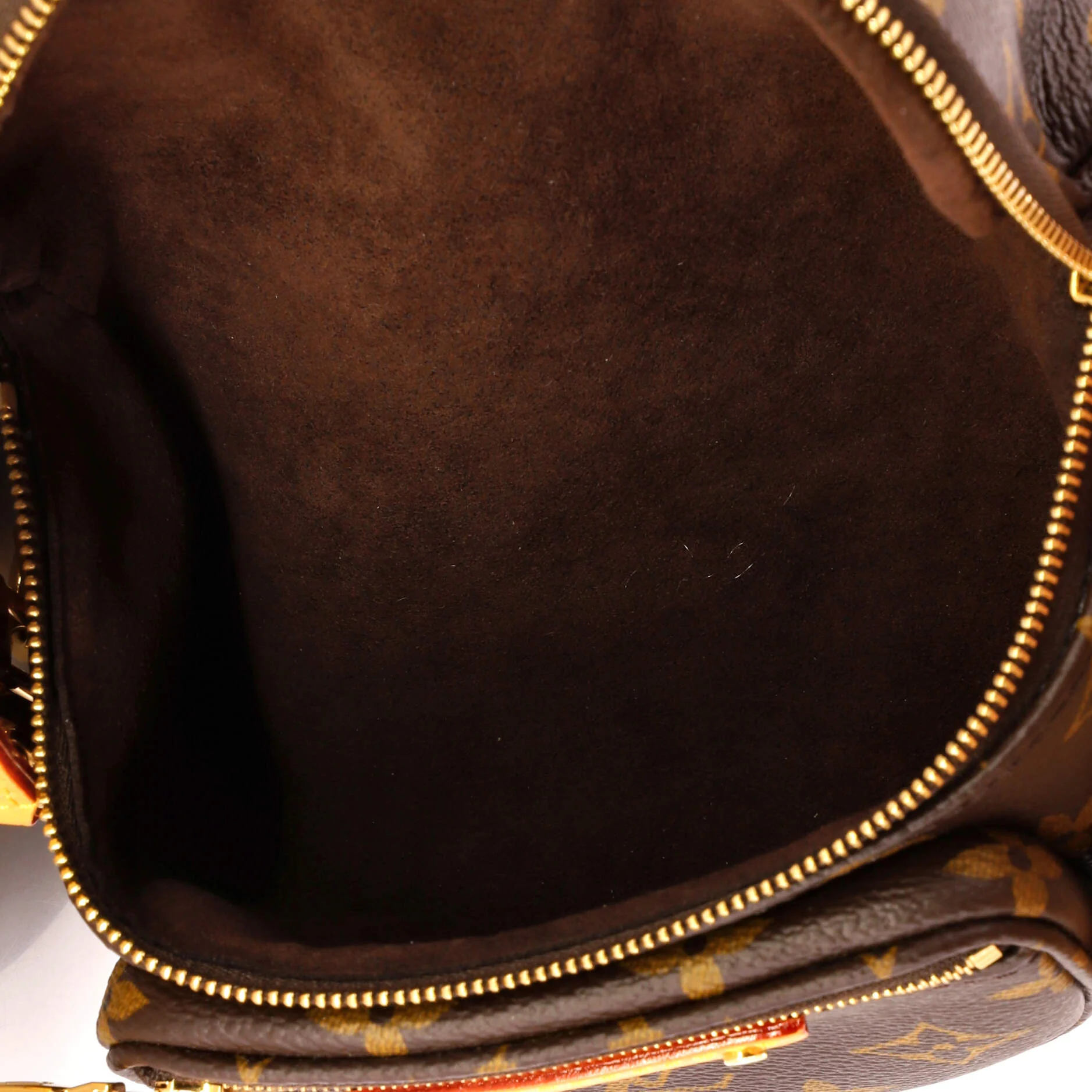 Bum Bag Monogram Canvas Mini - Image 5