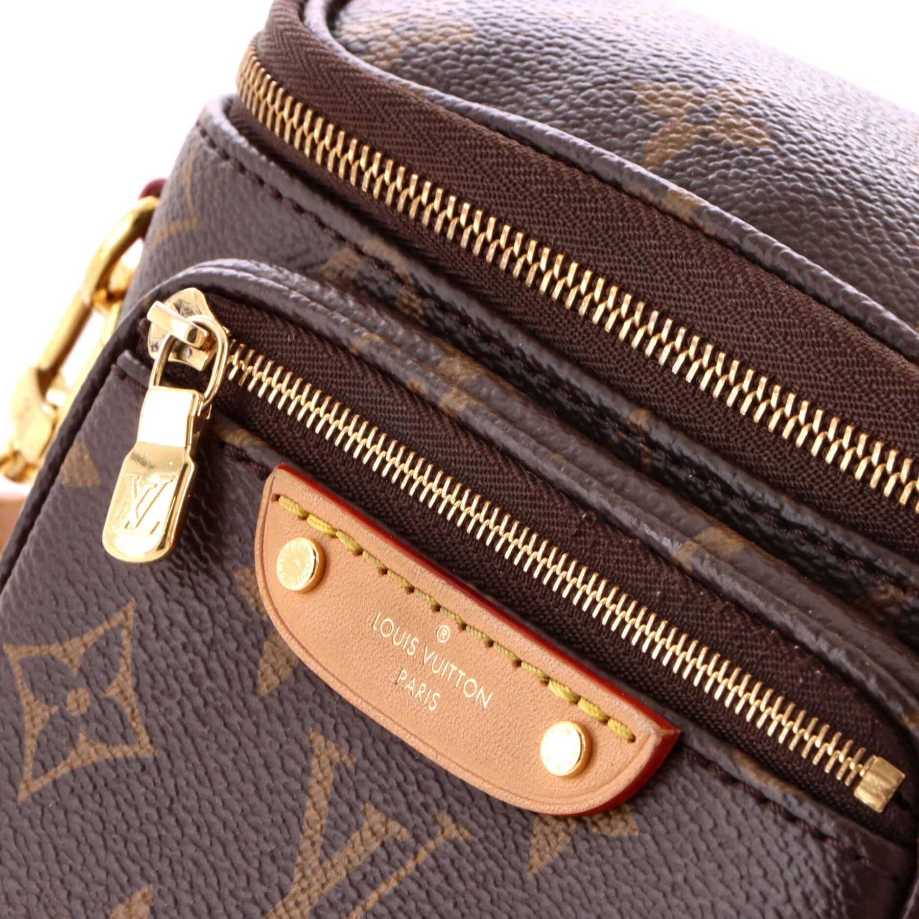 Bum Bag Monogram Canvas Mini - Image 6