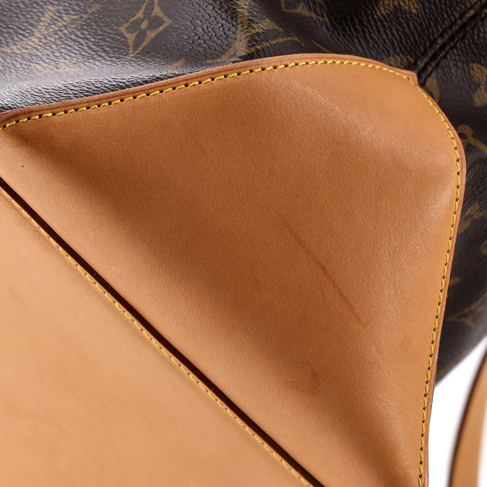 Cabas Mezzo Monogram Canvas - Image 8