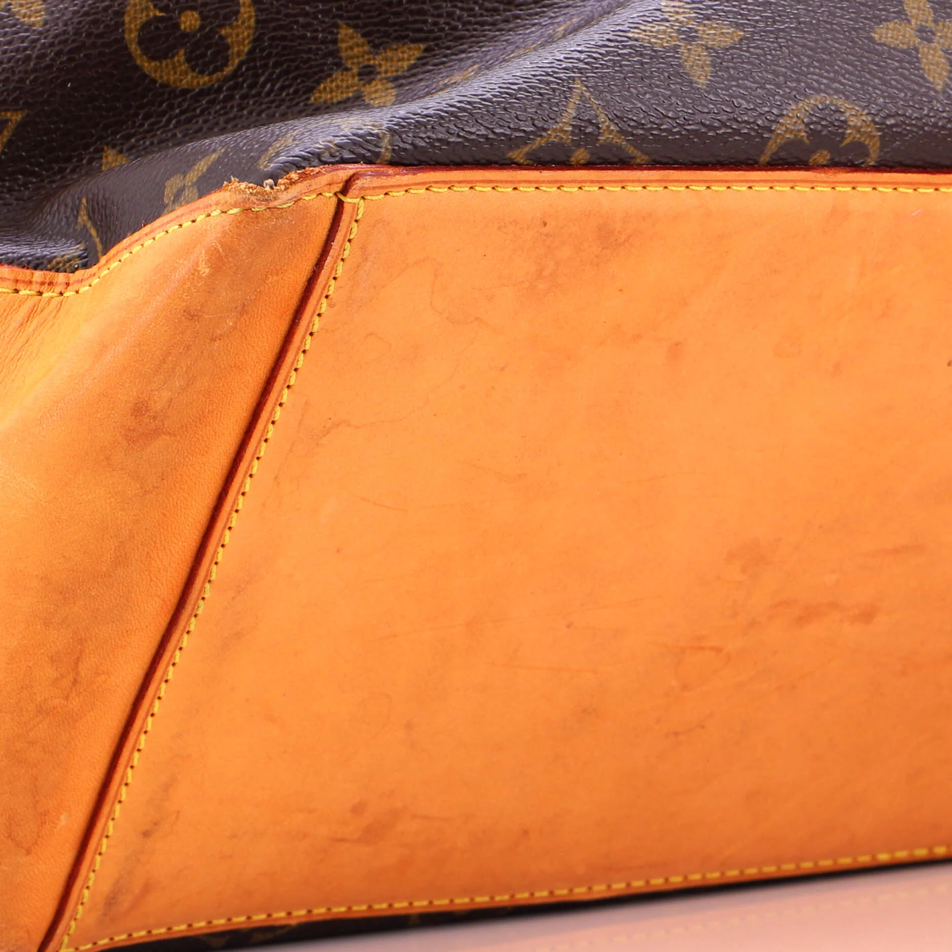 Cabas Mezzo Monogram Canvas - Image 12