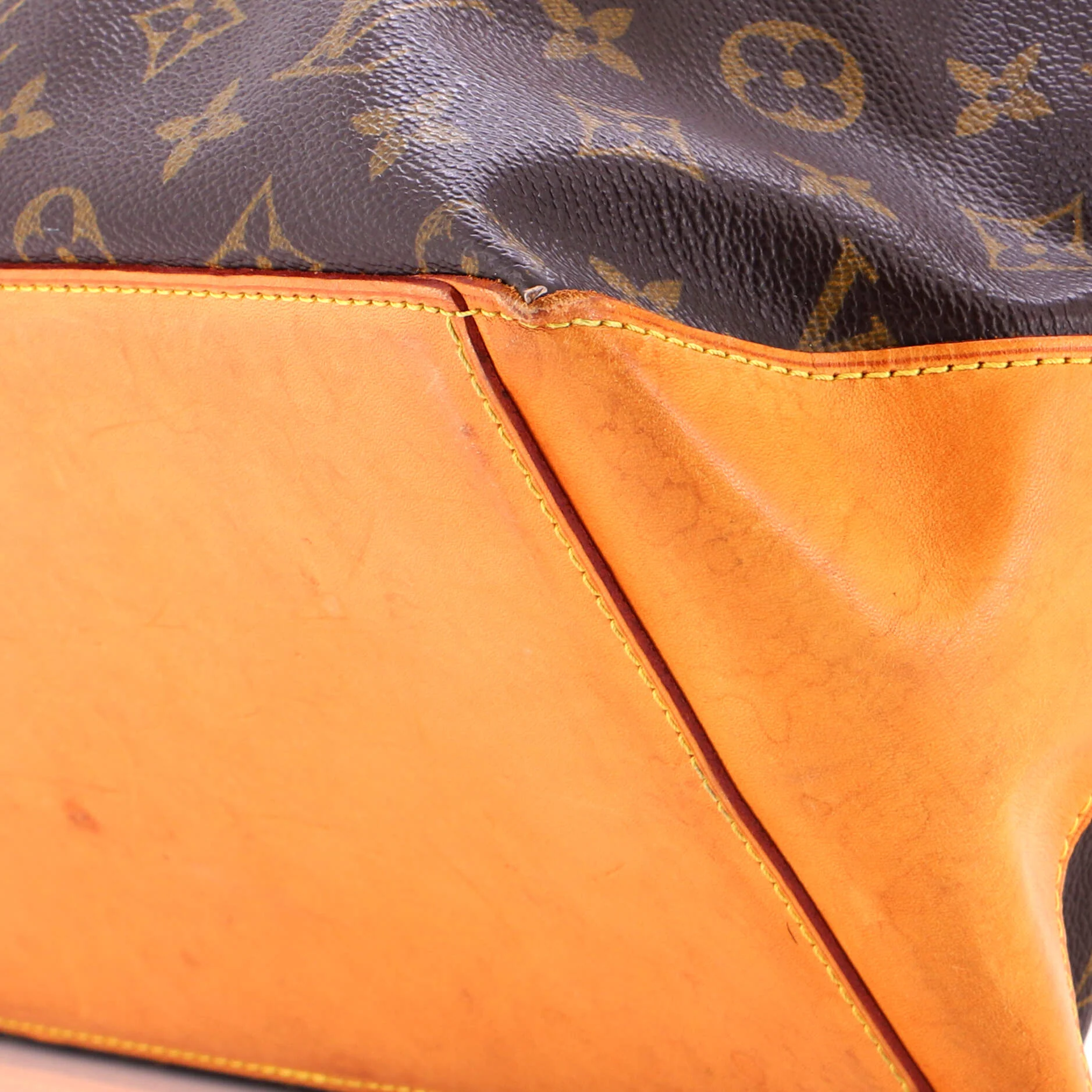 Cabas Mezzo Monogram Canvas - Image 14