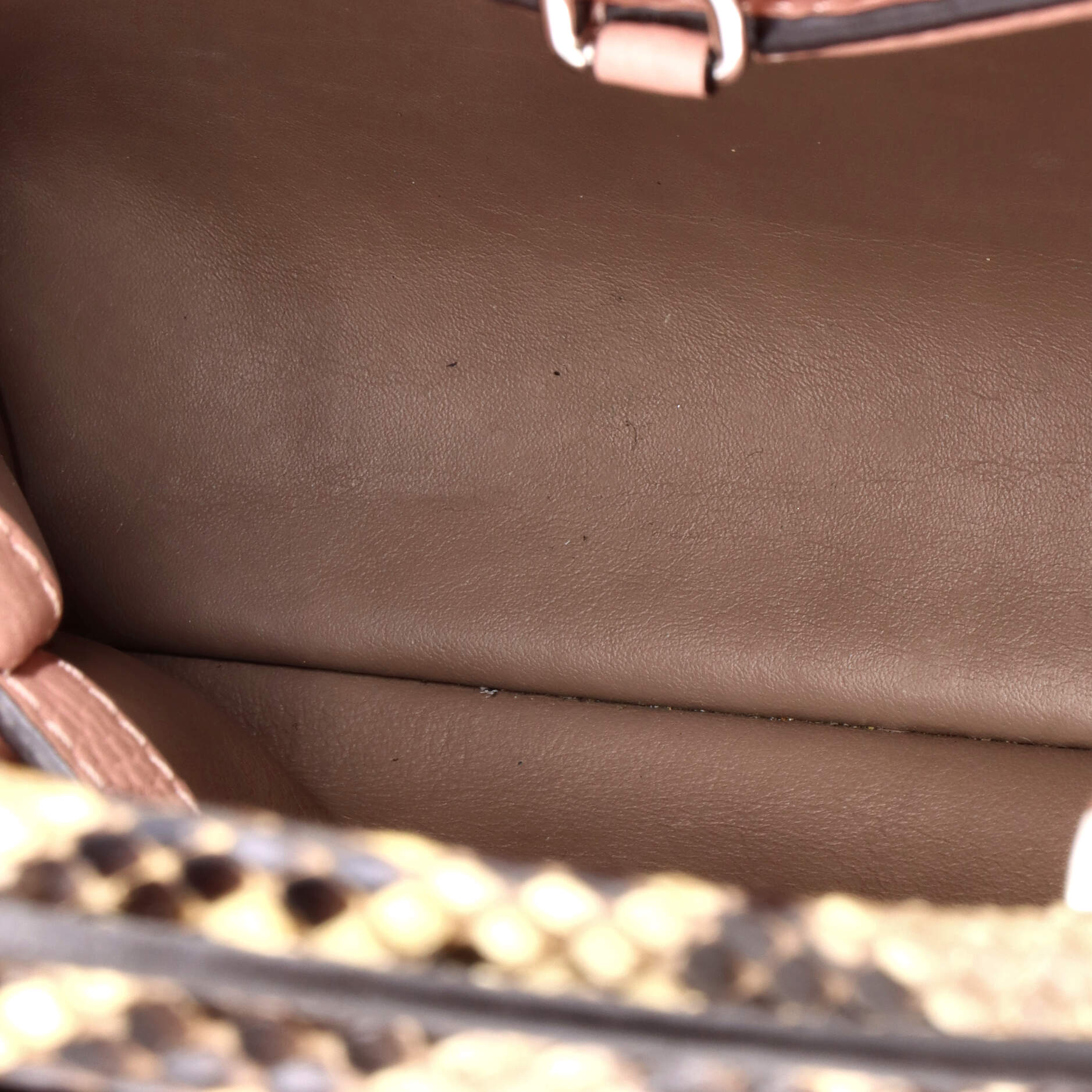 Capucines Bag Leather with Python BB - Image 5