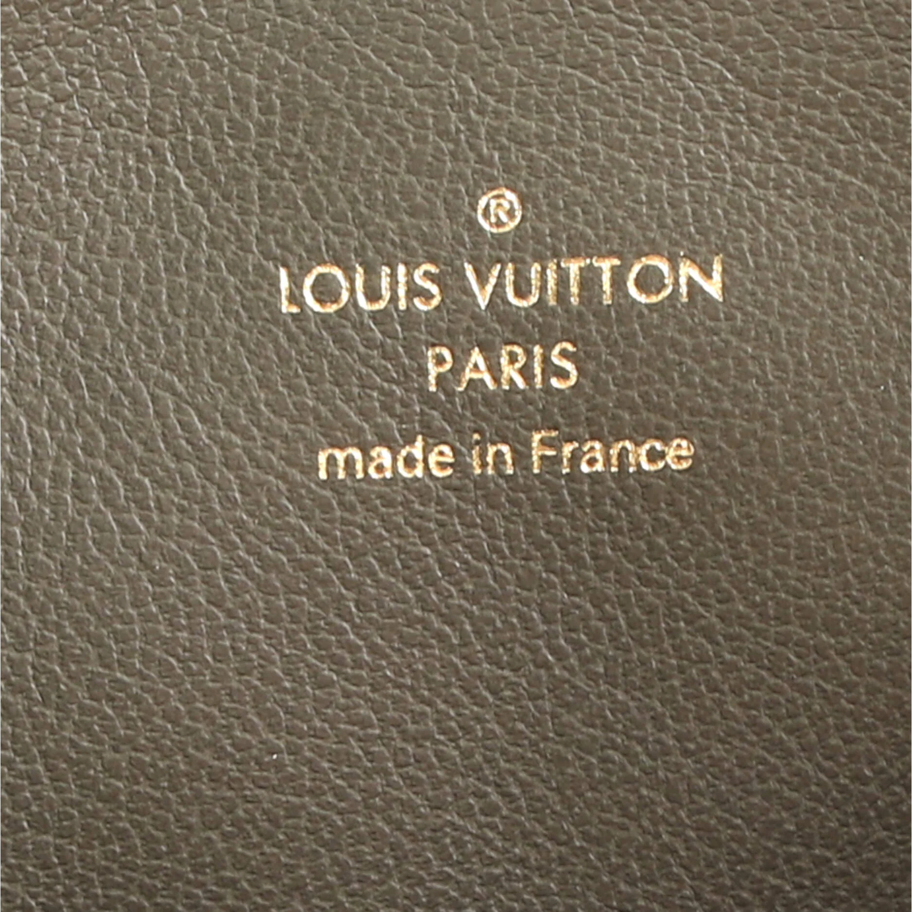 Coussin Bag Monogram Embossed Lambskin MM - Image 6