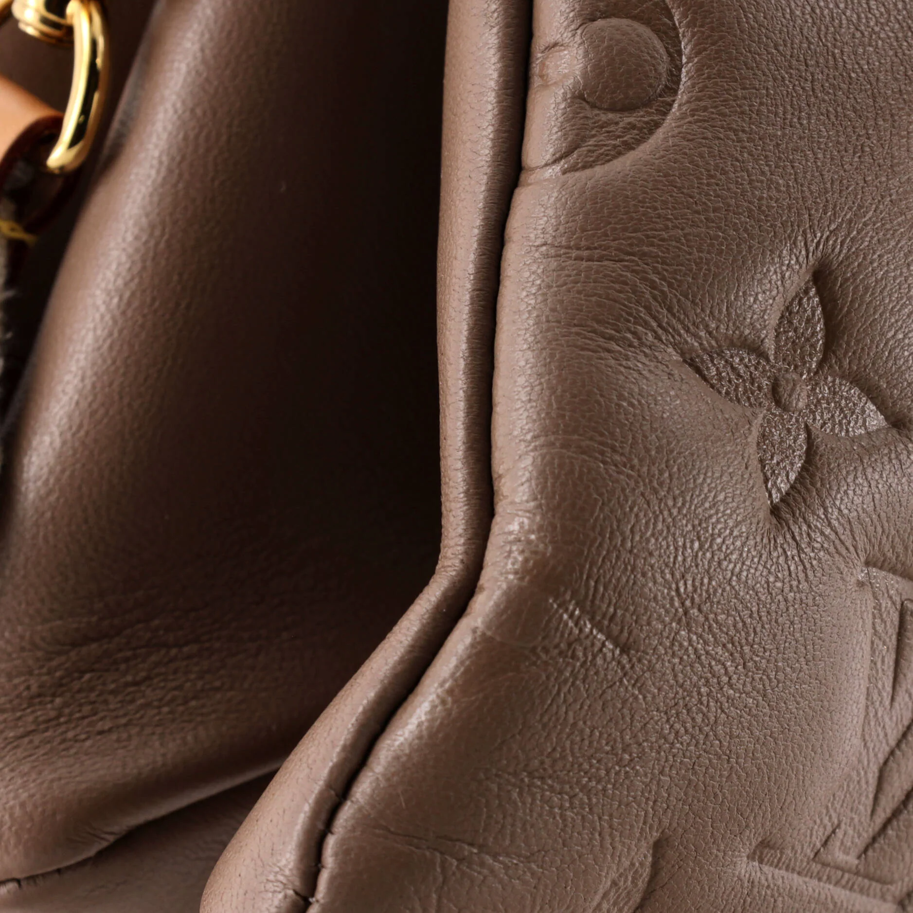 Coussin Bag Monogram Embossed Lambskin PM - Image 6