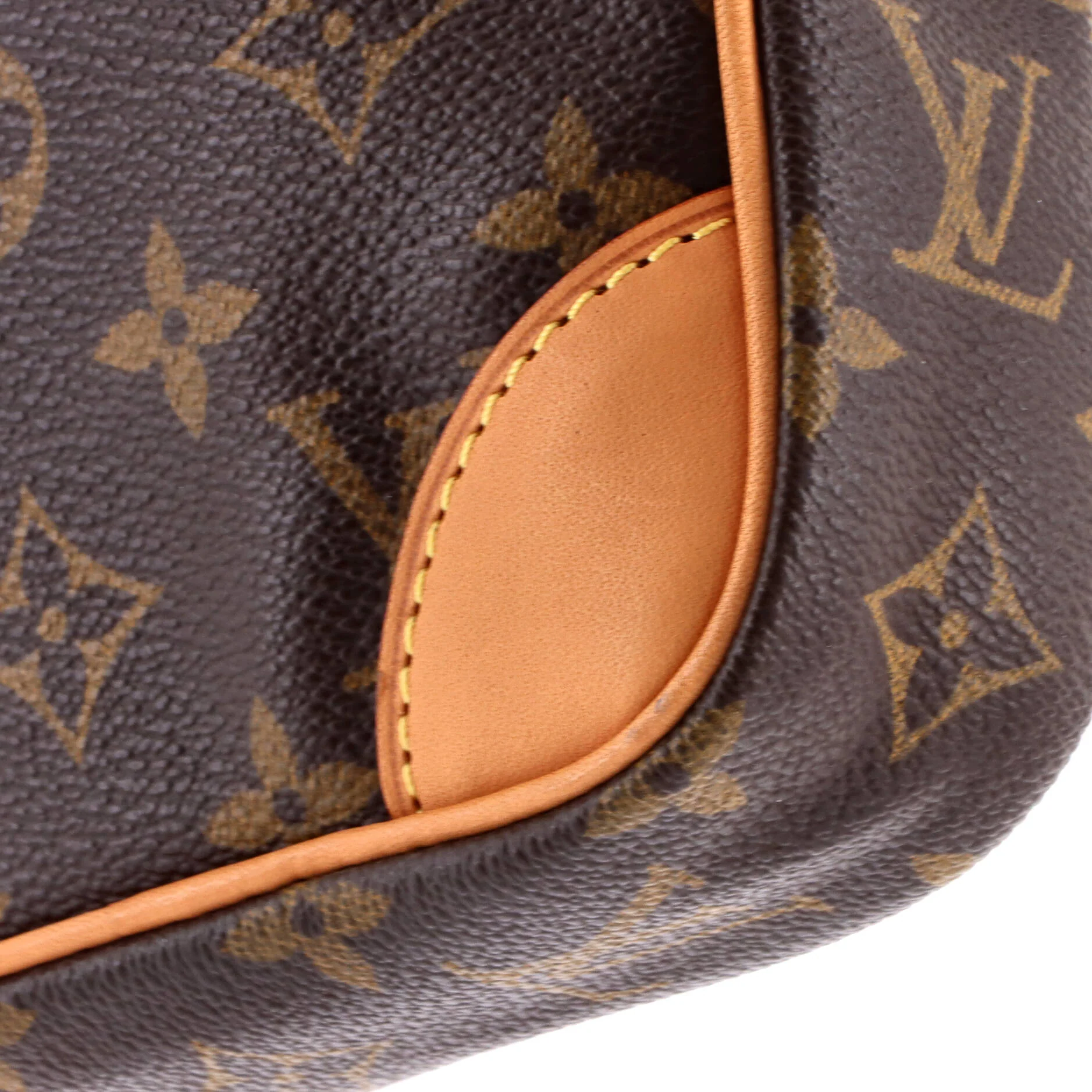 Danube Handbag Monogram Canvas - Image 6