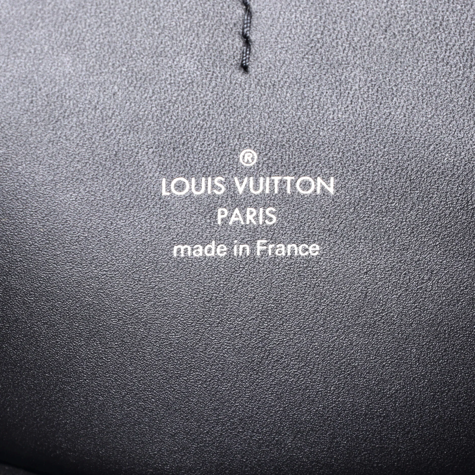 Dauphine Bumbag Reverse Monogram Giant - Image 6