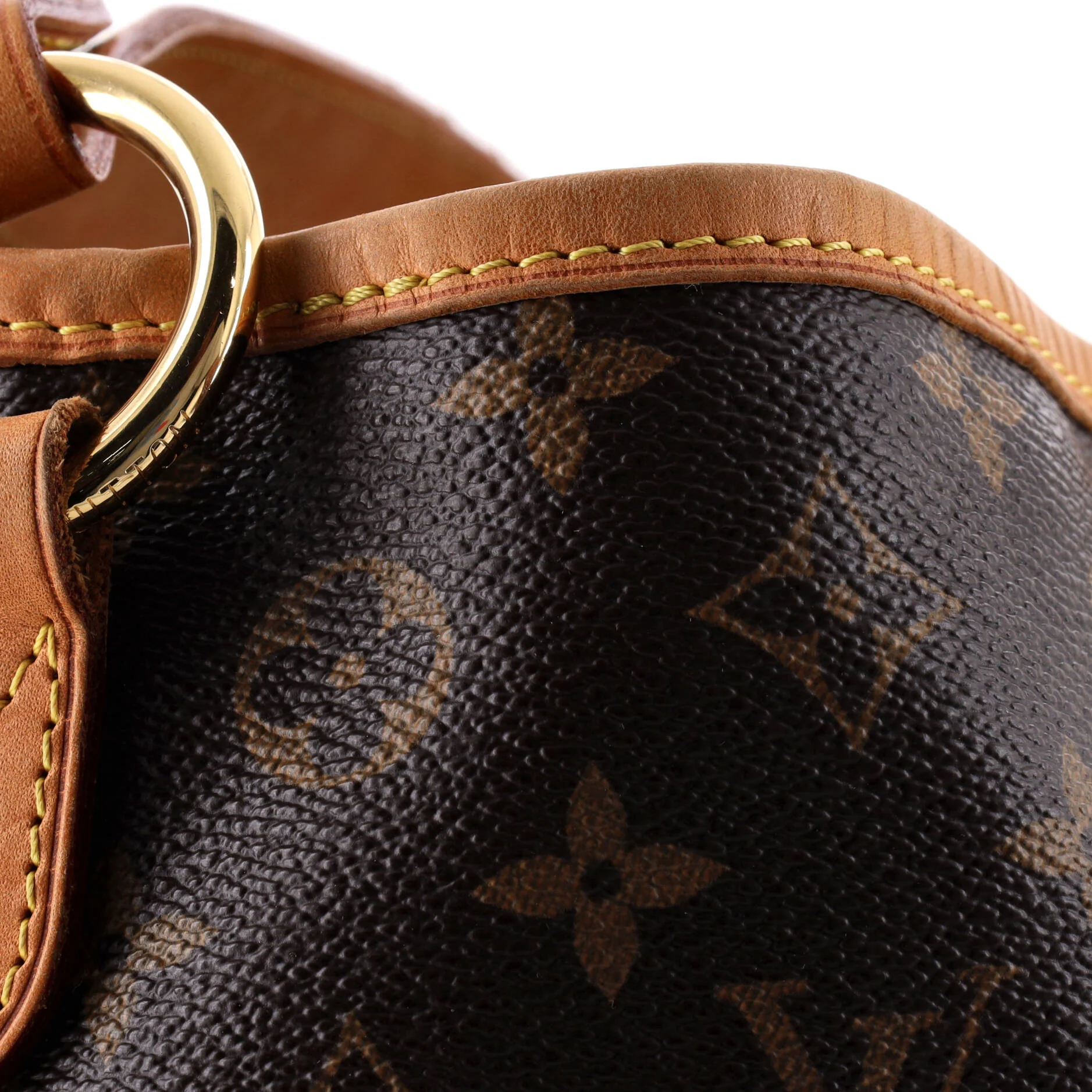 Delightful Handbag Monogram Canvas GM - Image 6