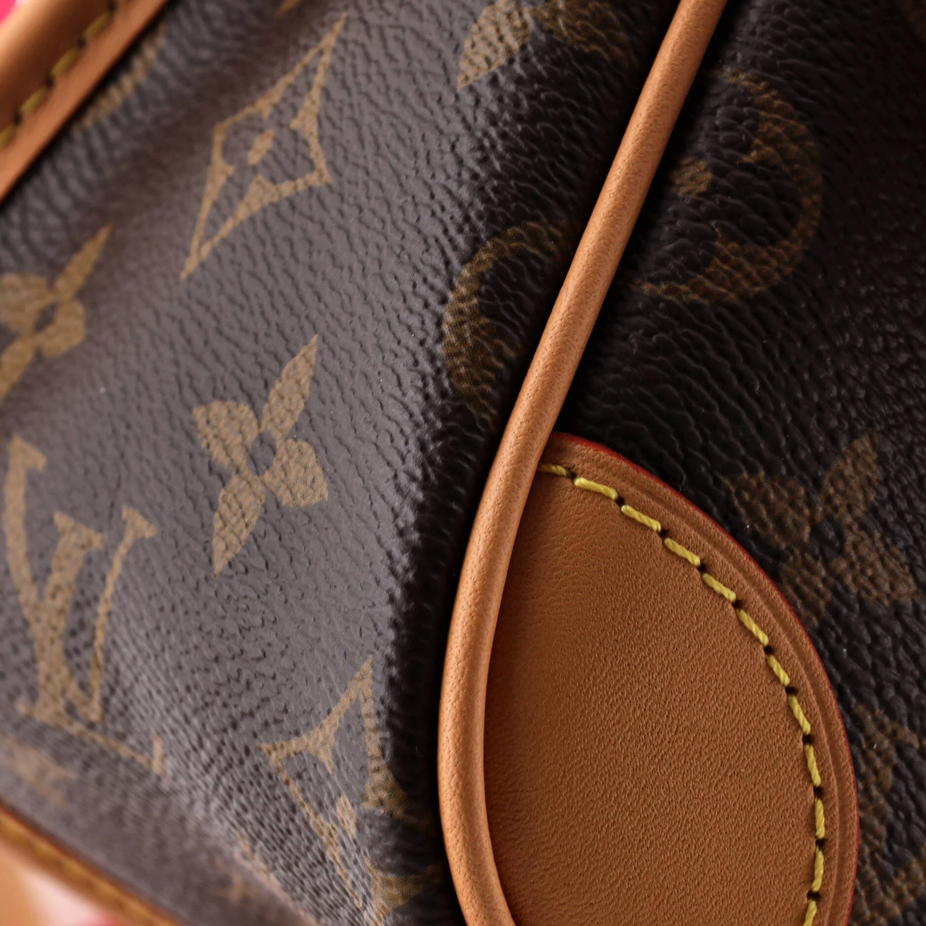 Diane NM Handbag Monogram Canvas - Image 6