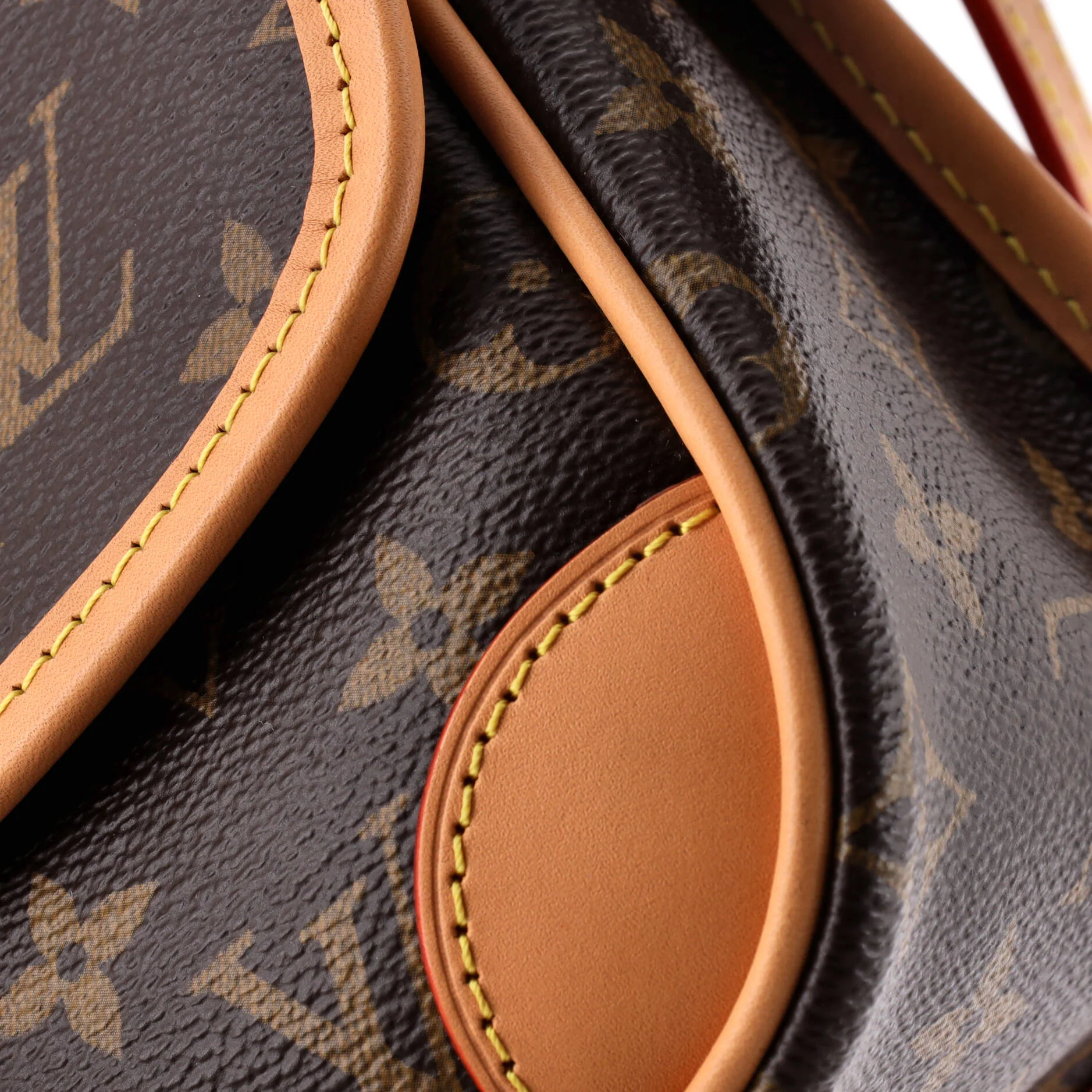 Diane NM Handbag Monogram Canvas Nano - Image 6