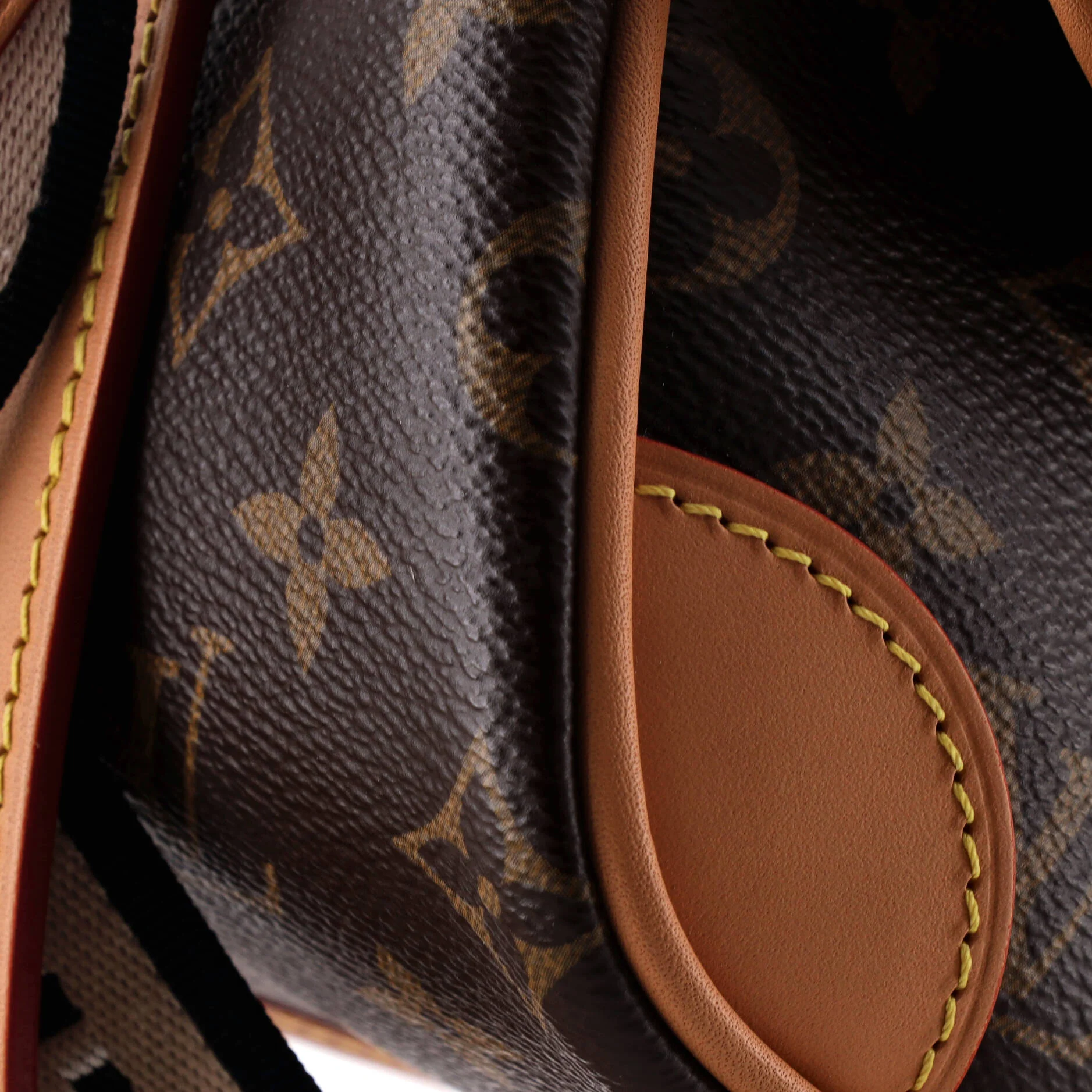 Diane NM Handbag Monogram Canvas Nano - Image 6