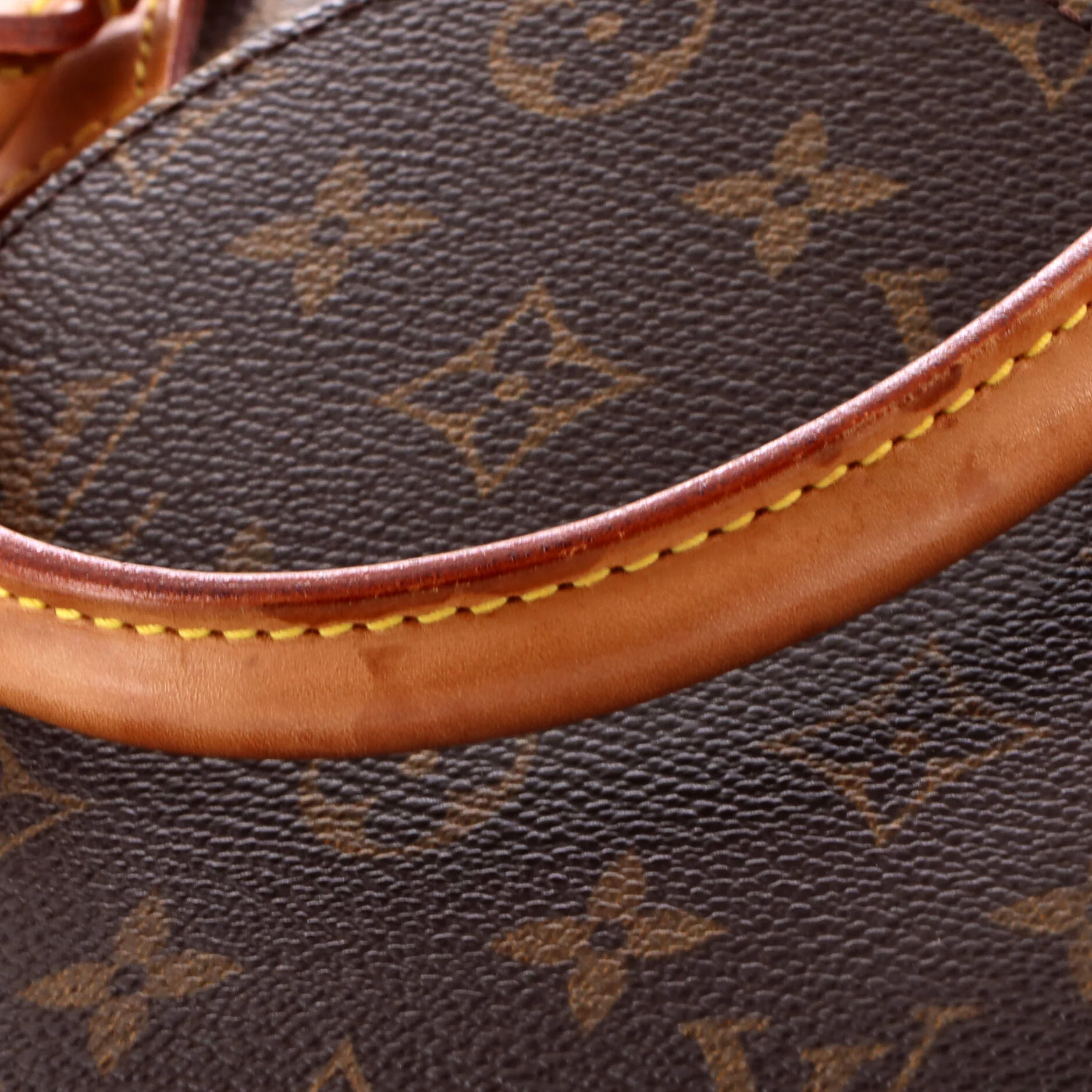 Ellipse Bag Monogram Canvas PM - Image 7