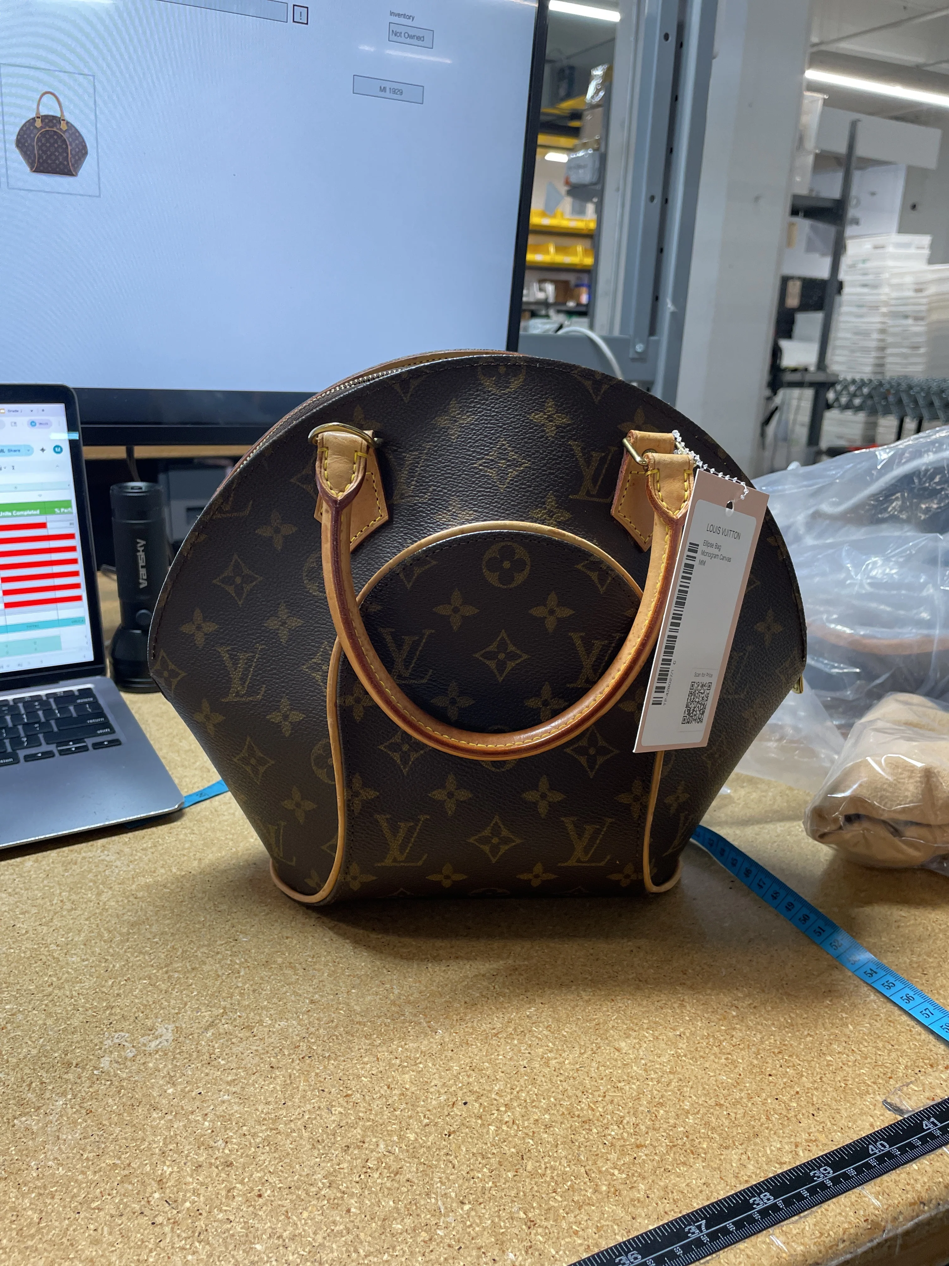 Ellipse Bag Monogram Canvas PM - Image 9
