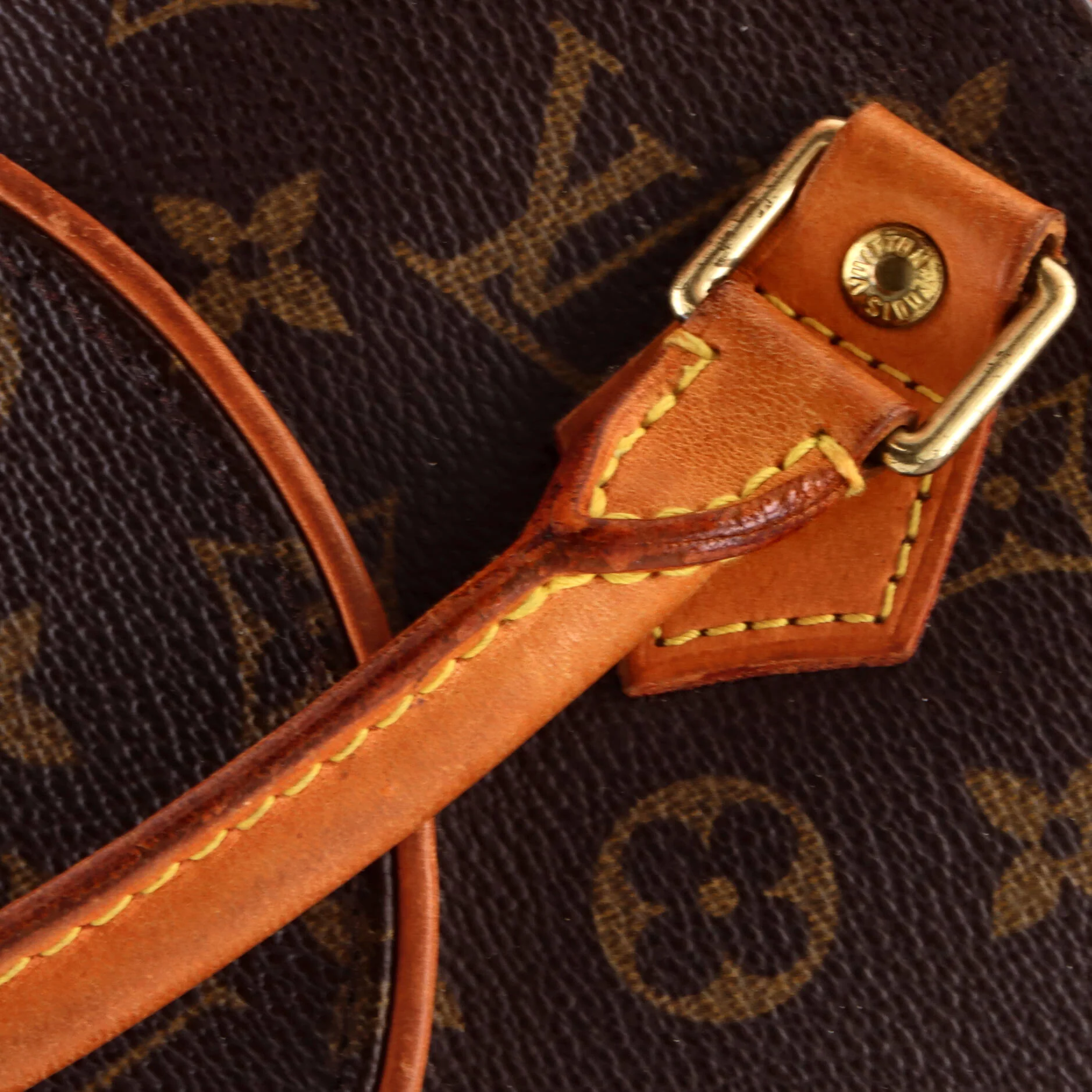 Ellipse Bag Monogram Canvas PM - Image 8