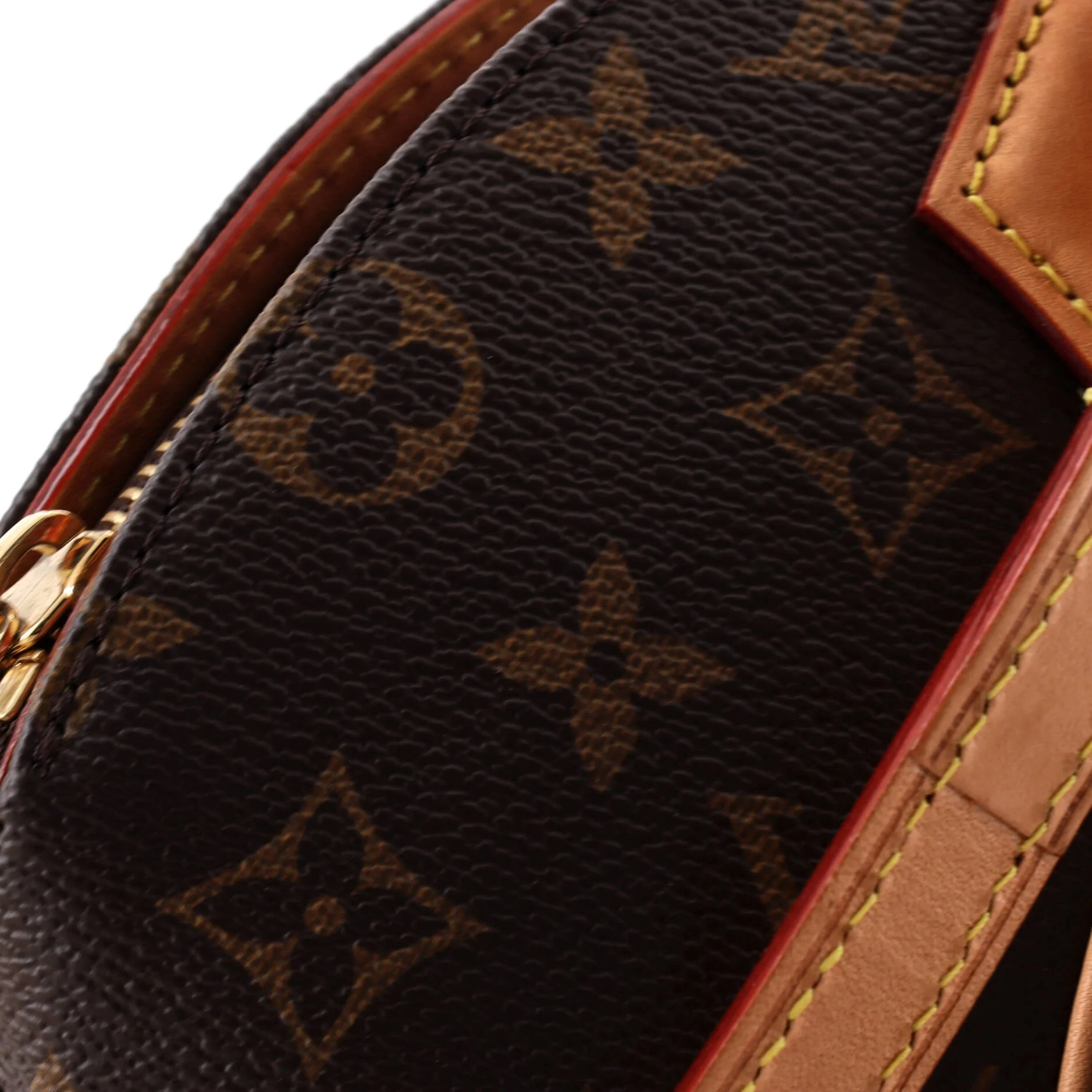 Ellipse NM Bag Monogram Canvas PM - Image 6