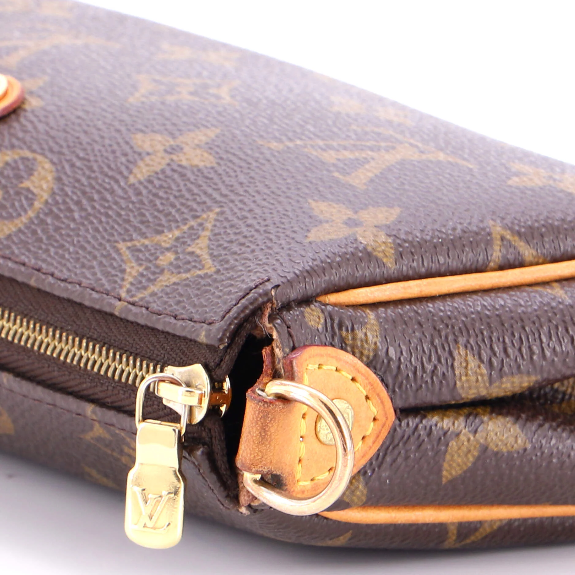 Eva Handbag Monogram Canvas - Image 6
