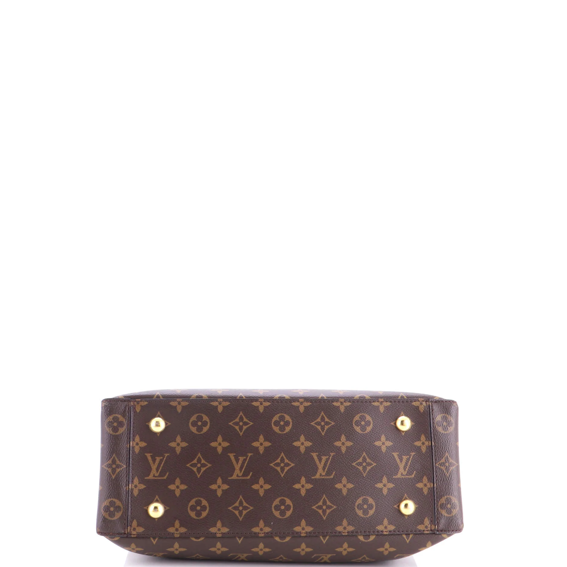 Flower Tote Monogram Canvas and Python - Image 4