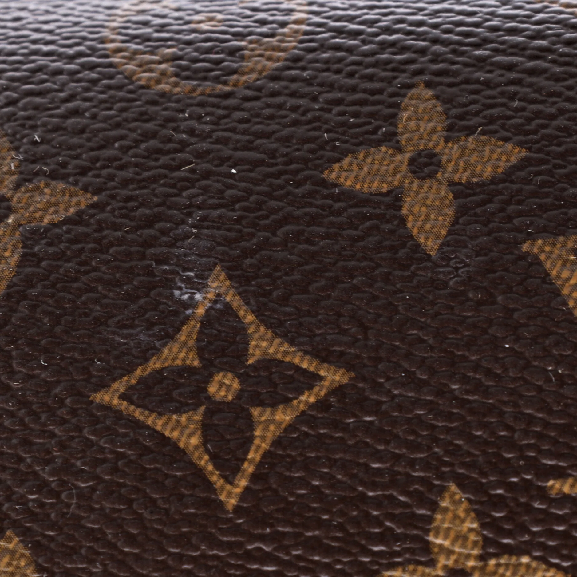 Flower Zipped Tote Monogram Canvas PM - Image 6