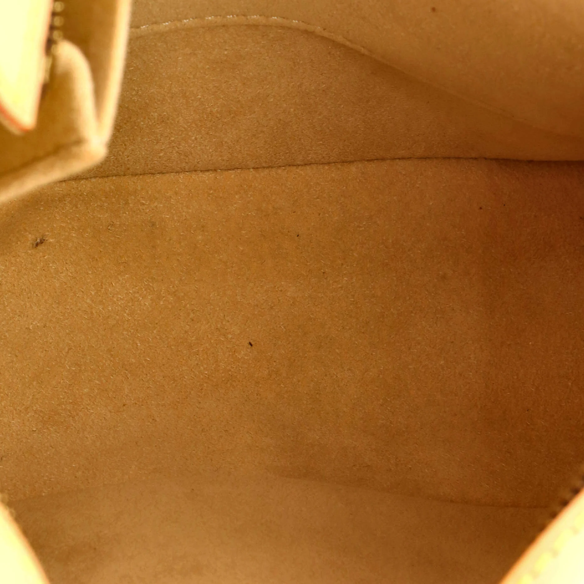 Hudson Handbag Monogram Canvas GM - Image 5