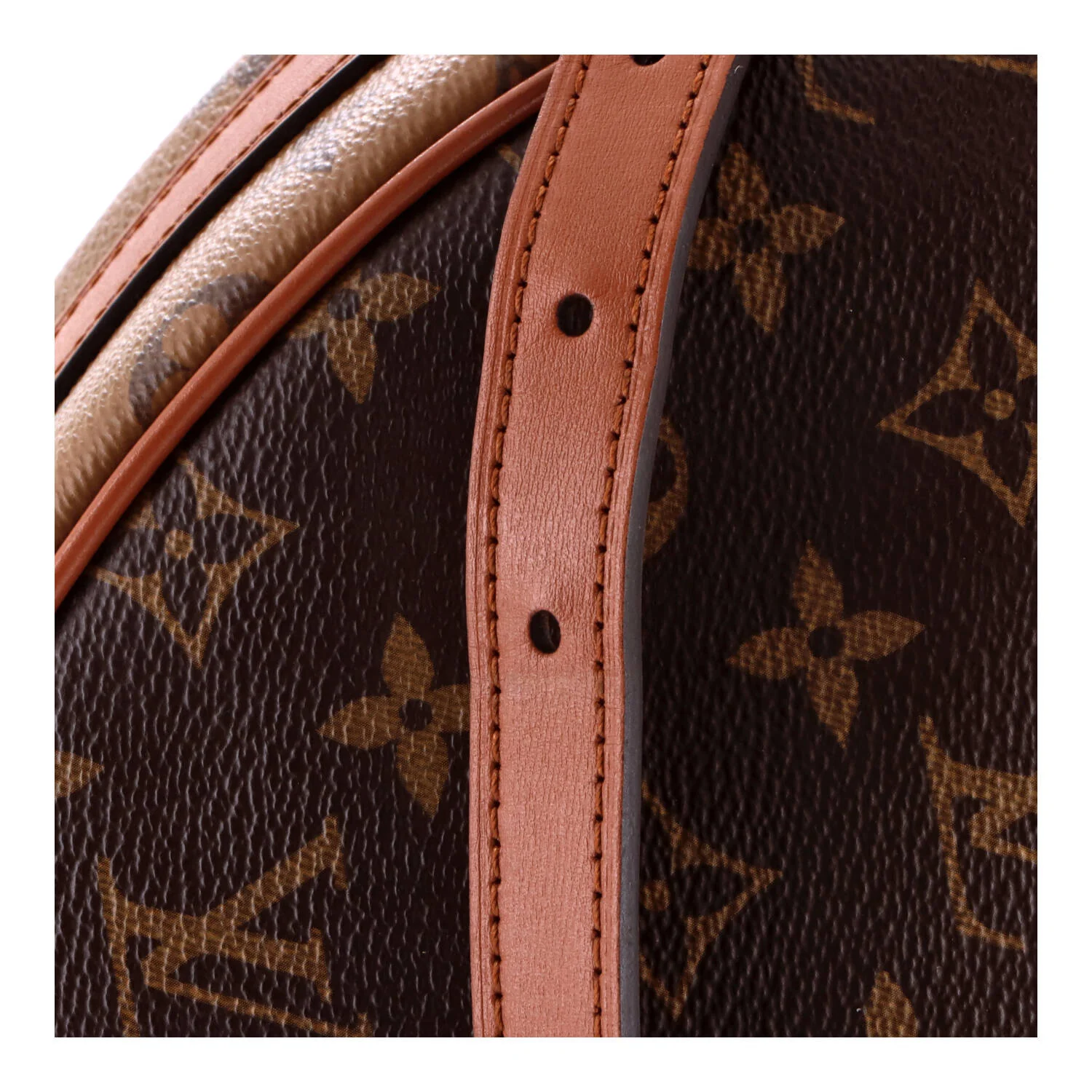 Loop Hobo Reverse Monogram Canvas - Image 7