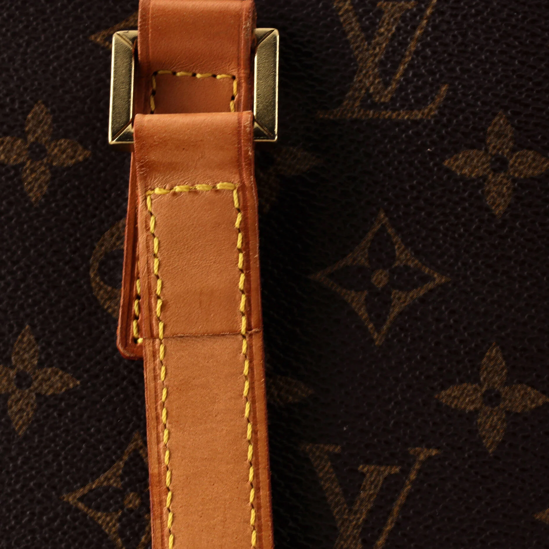 Luco Handbag Monogram Canvas - Image 6