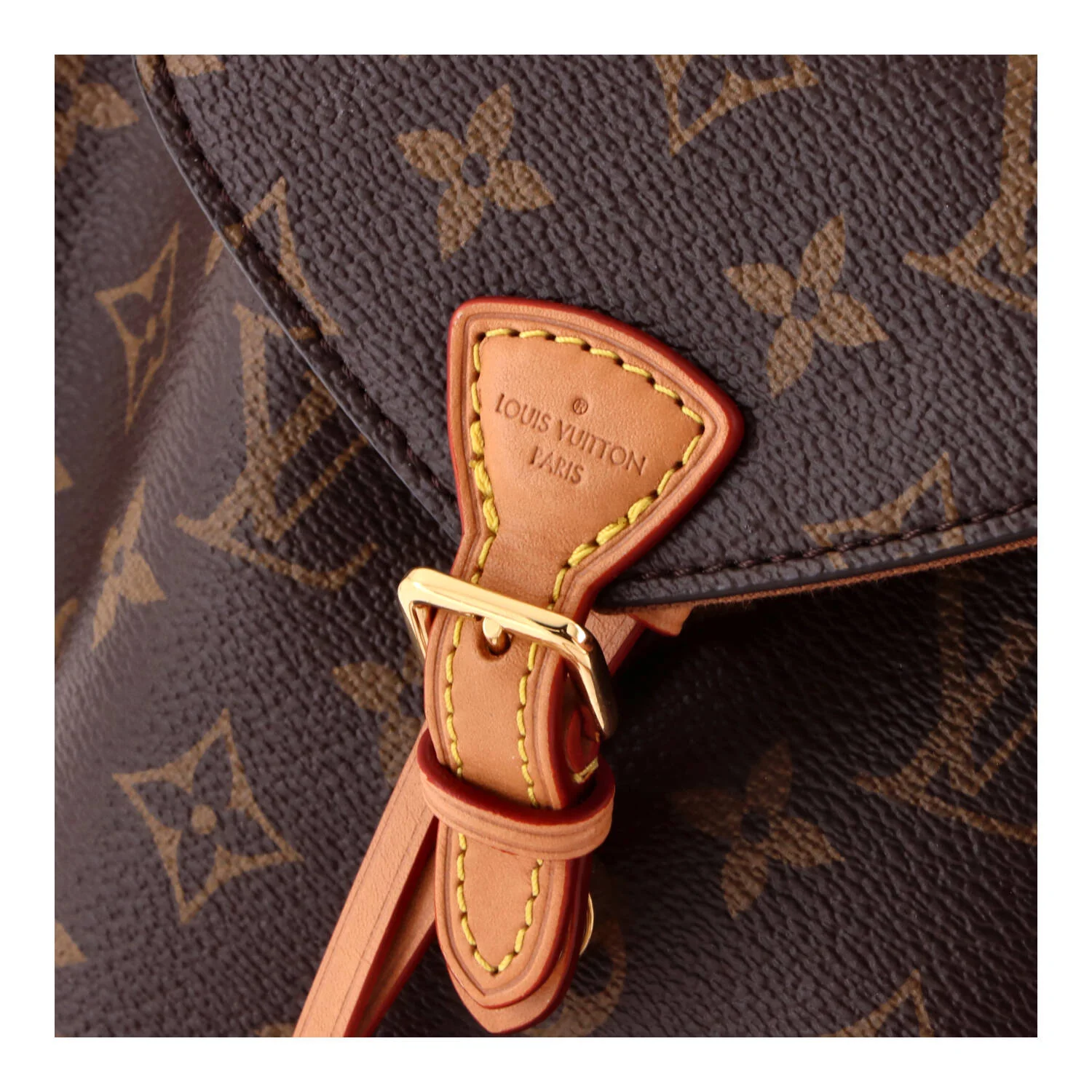 Montsouris NM Backpack Monogram Canvas BB - Image 7