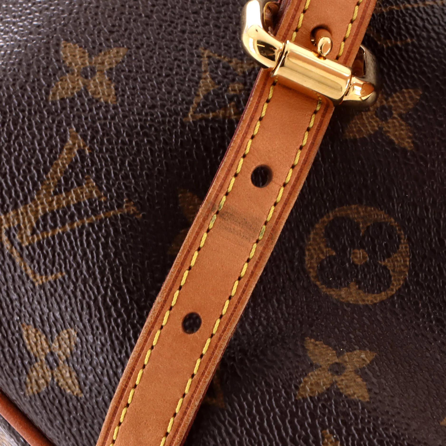Palermo Handbag Monogram Canvas GM - Image 7