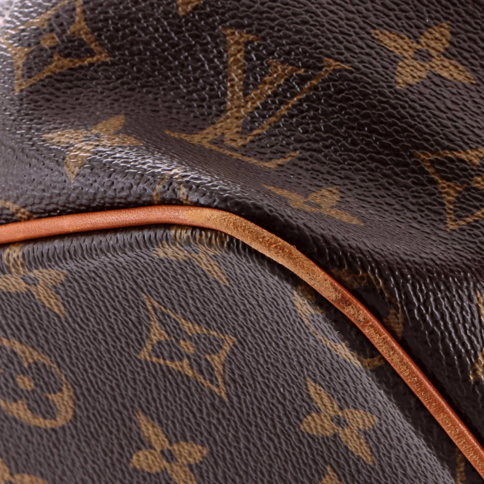 Palermo Handbag Monogram Canvas GM - Image 6