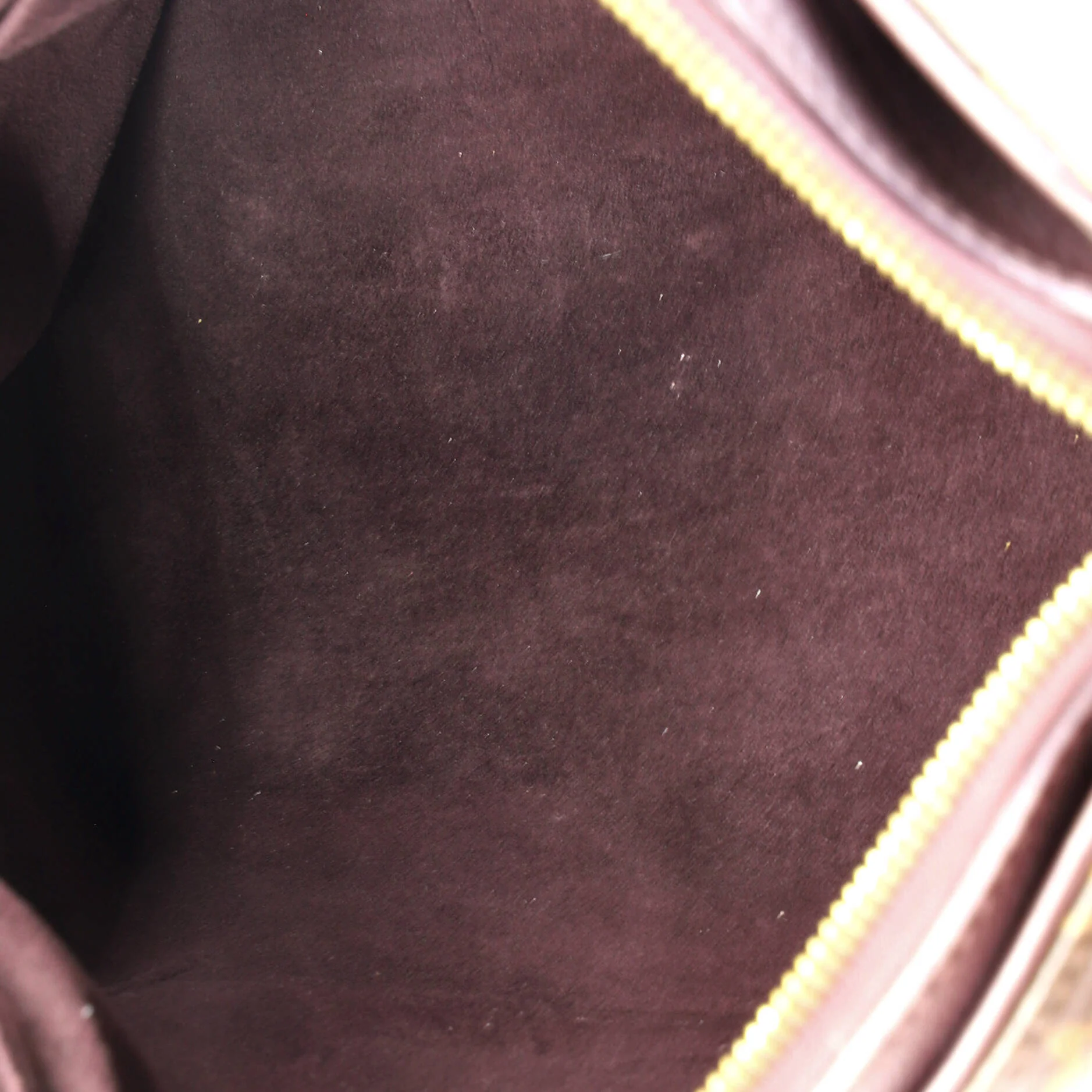 Pallas Tote Monogram Canvas with Leather - Image 5