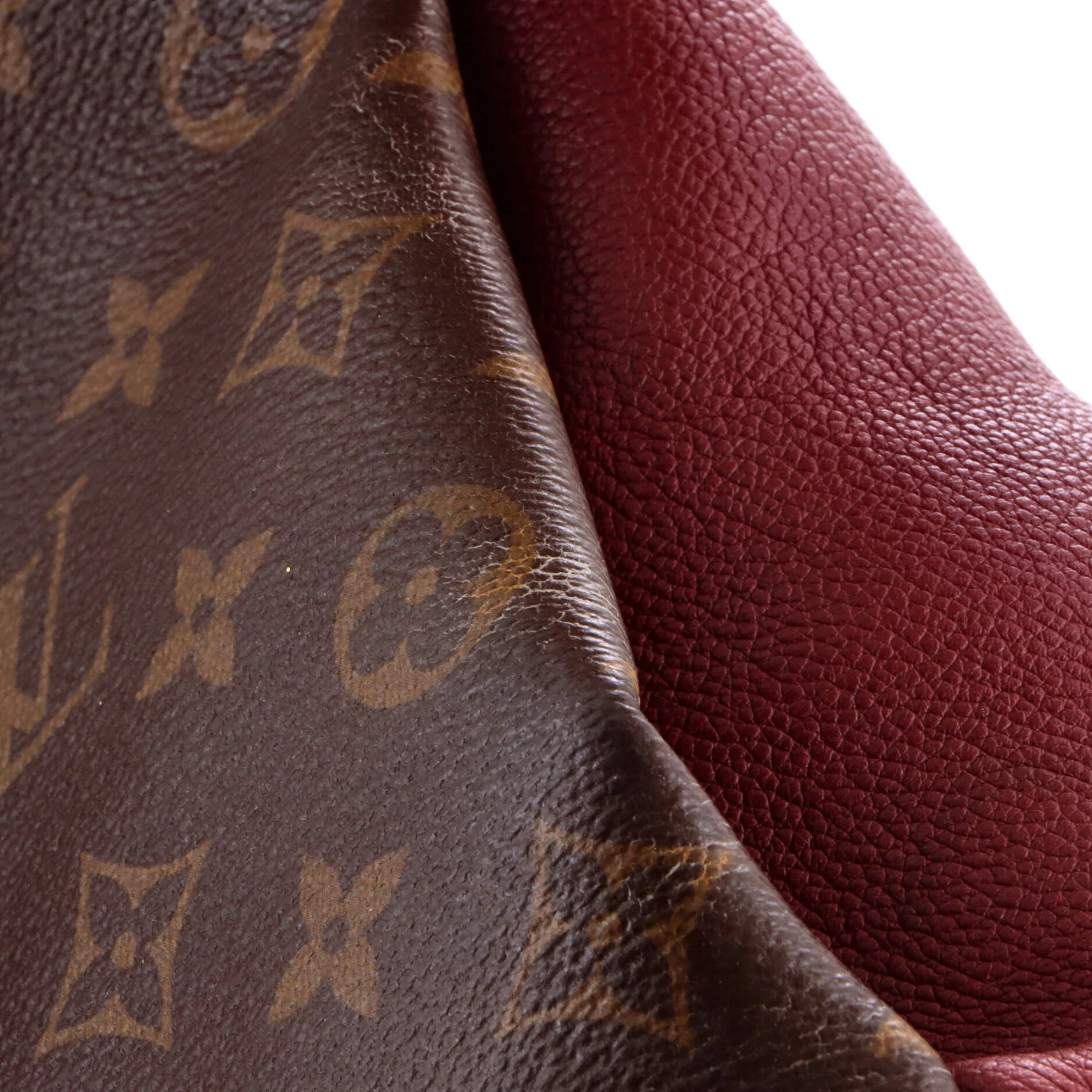 Pallas Tote Monogram Canvas with Leather - Image 7