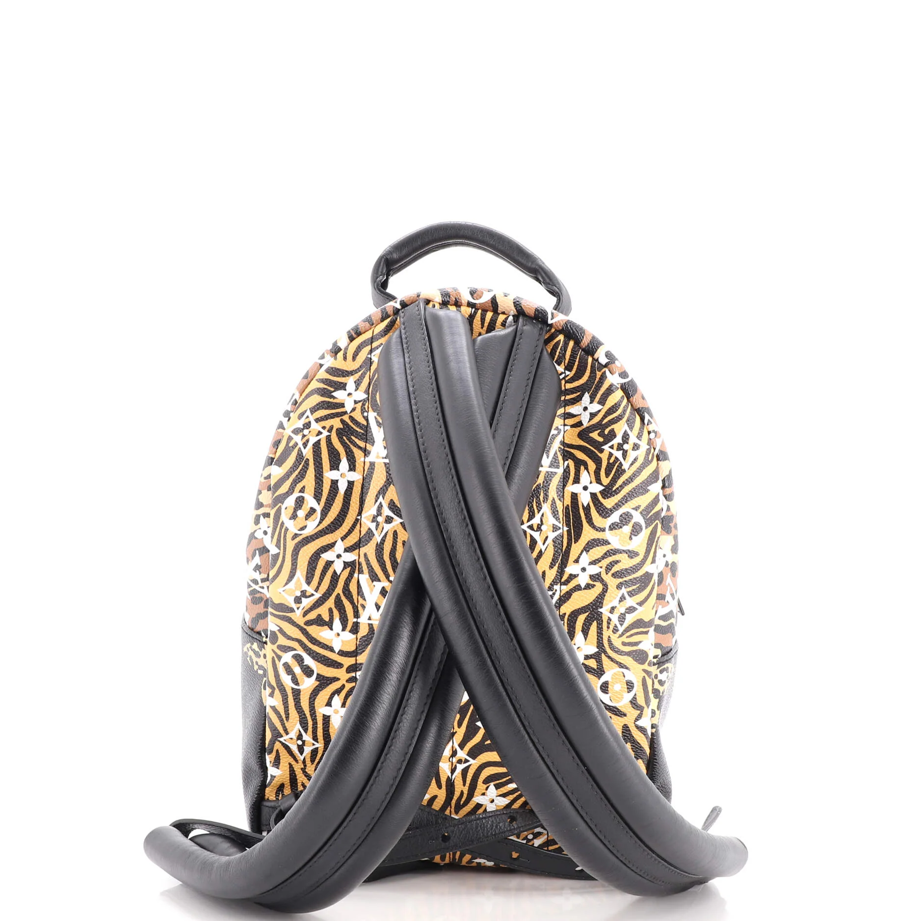 Palm Springs Backpack Limited Edition Jungle Monogram Giant PM - Image 3