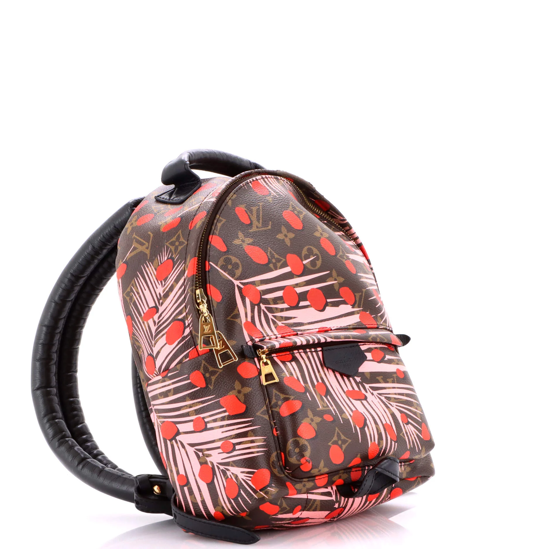 Palm Springs Backpack Limited Edition Monogram Jungle Dots PM - Image 2
