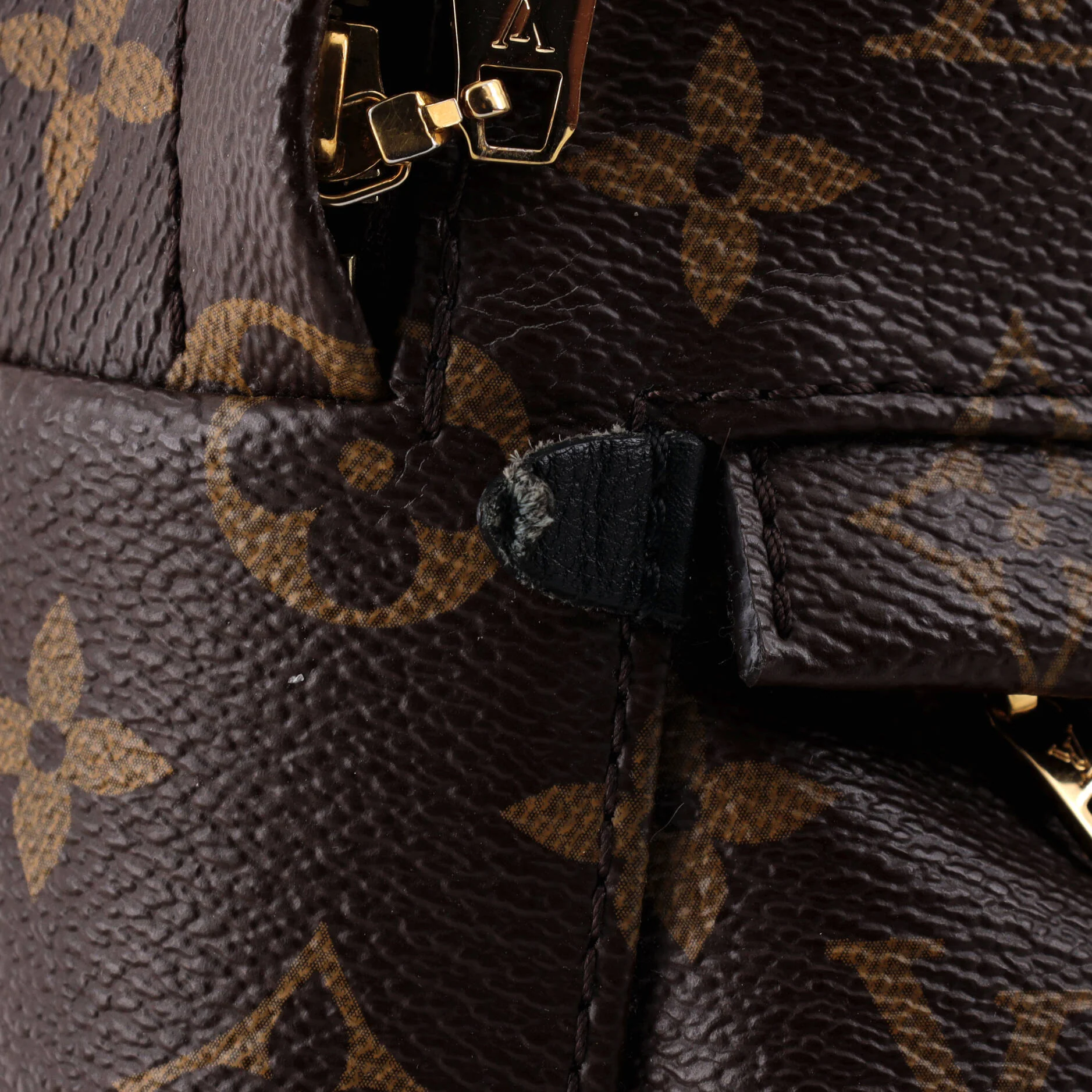 Palm Springs Backpack Monogram Canvas Mini - Image 6
